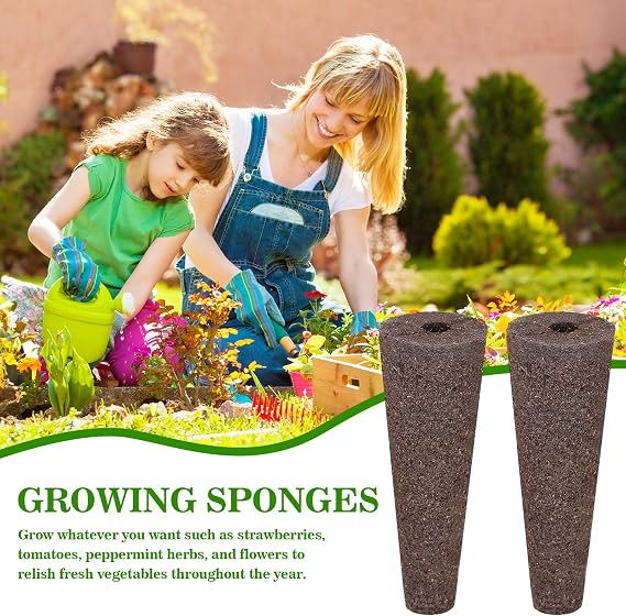 Doter 50 pcs Grow Sponges for Hydroponics Compatible with AeroGarden, Hydroponics Growing System Pods, General Hydroponics Rapid Rooter, Starter Plug for Seeds or Cuttings