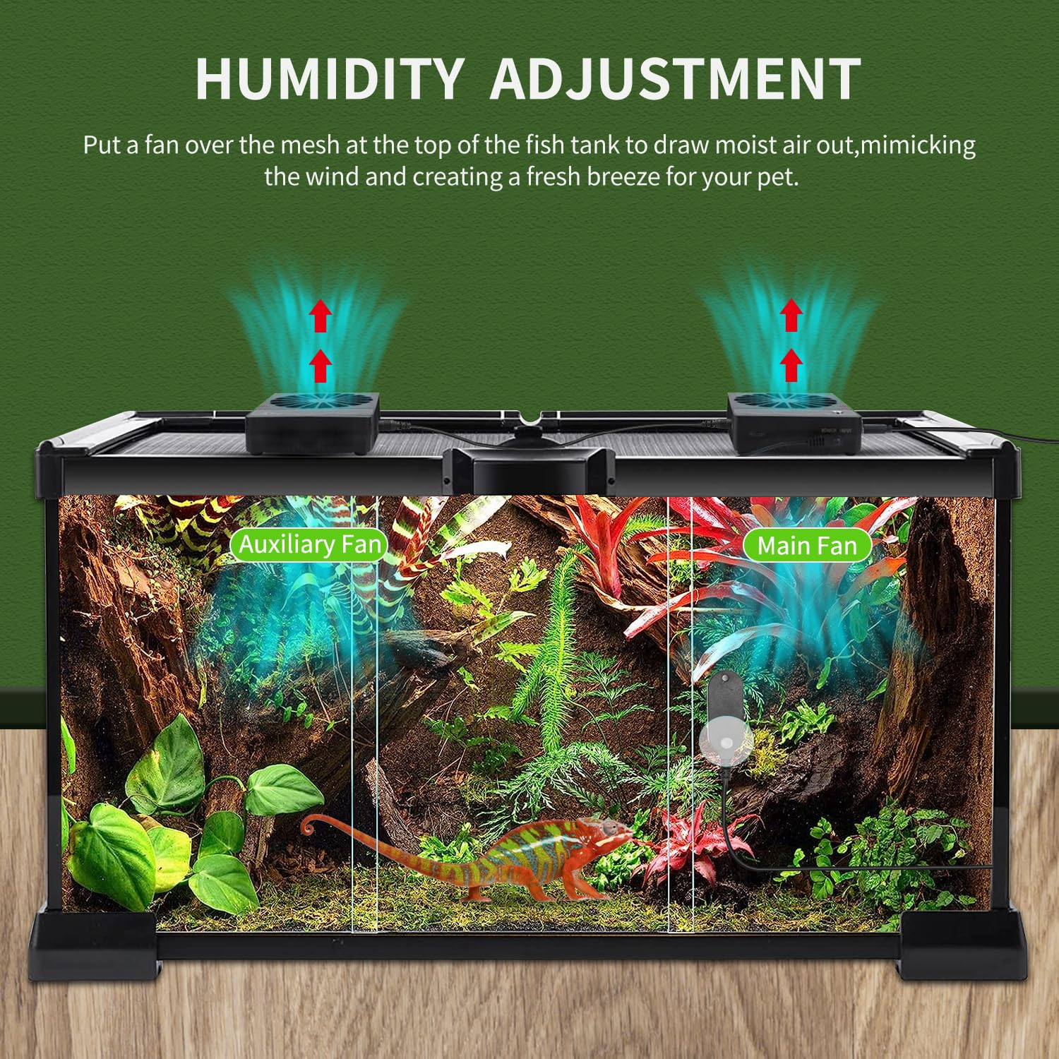 Reptilienventilator, Feuchtigkeitsventilator, Luftentfeuchter für Regenwald-Terrarium, verbessert die Luftzirkulation für Amphibien, Reptilien und Schlangen