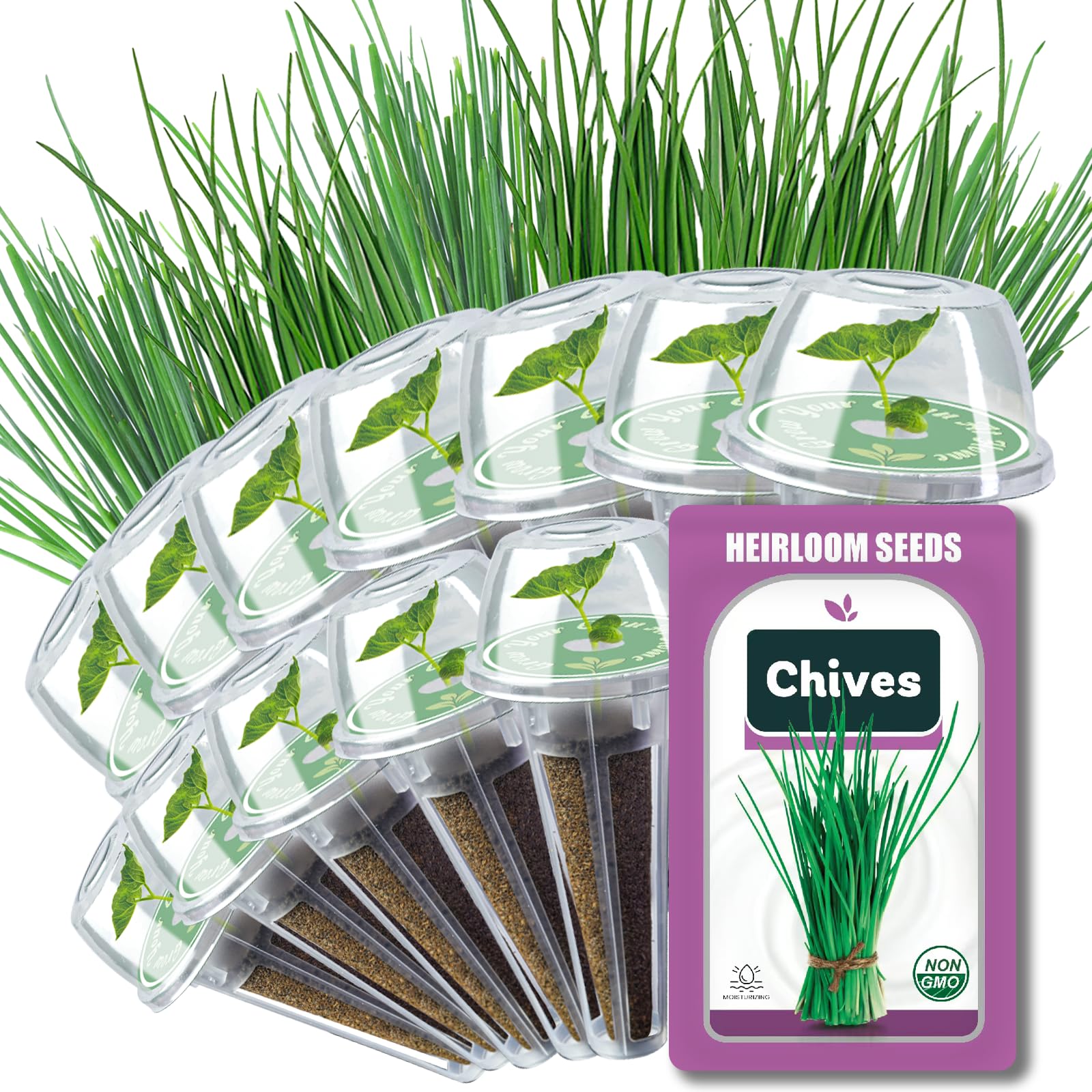 Chives Seed Pods for All Hydroponics Growing Systems, 12 Pods Herb Kit with 200+ Seeds of Chives, Grow Your Own Herb Garden at Home