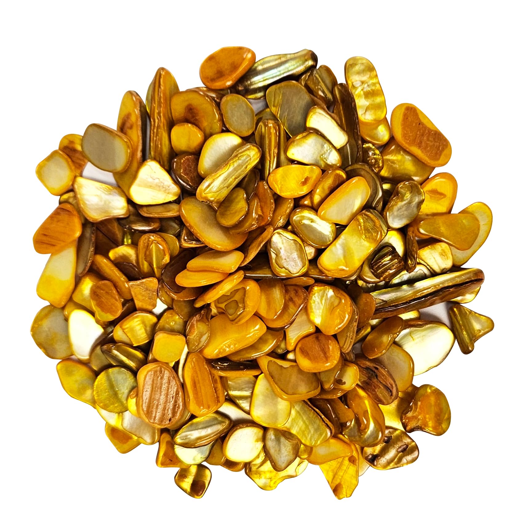 EDSRDUS Natural Crushed Shells Chips Irregular Mother of - vase fillers | Mubboo