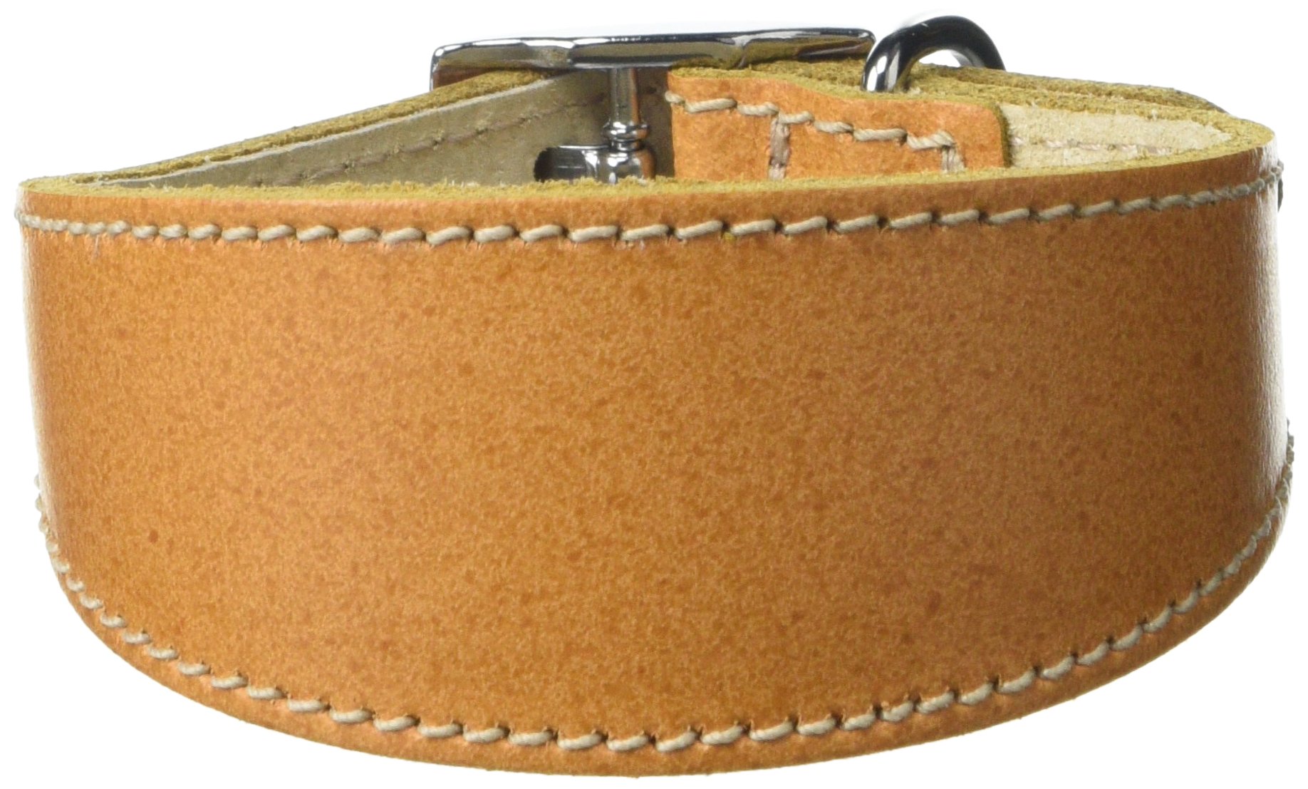 BBD Pet Products Italian Grey Hound Collar, One Size, 1/2 x 8 to 10-Inch, Tan