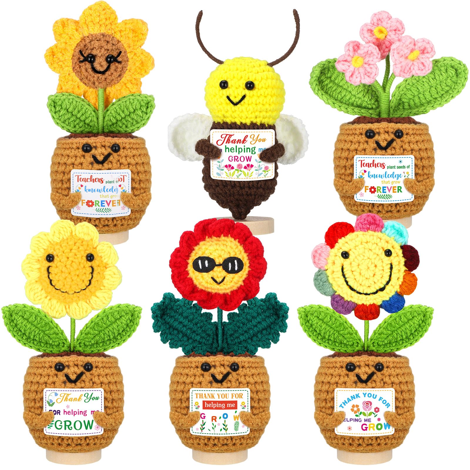 Amazon.com: Wavwavw 6 Pcs Thank You for Helping Me Grow Teacher