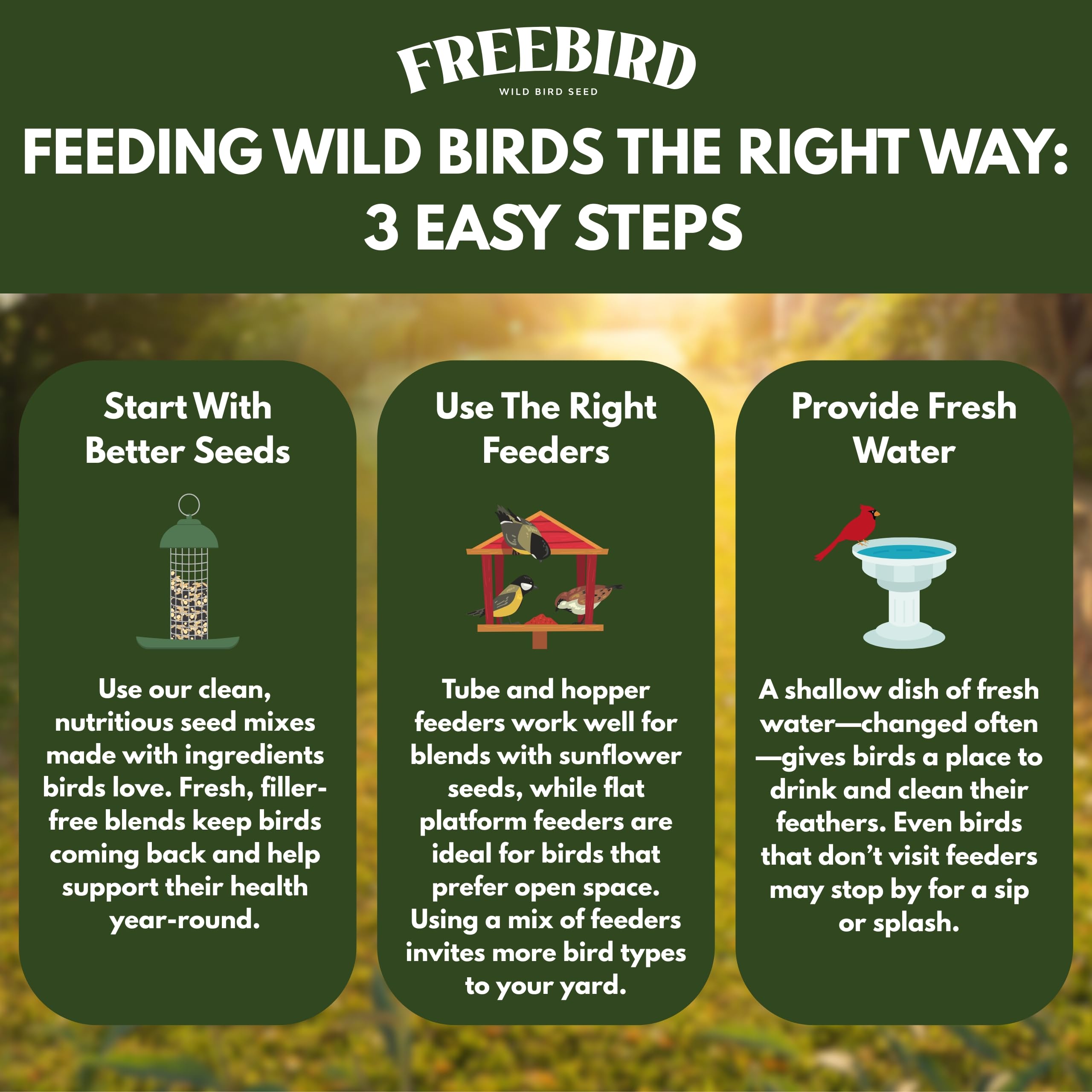 Freebird - Mangime per uccelli selvatici, miscela premium per uccelli canori con olio di girasole nero, girasole a strisce, cartamo, pezzi di arachidi, miglio bianco, miglio rosso per cardinali