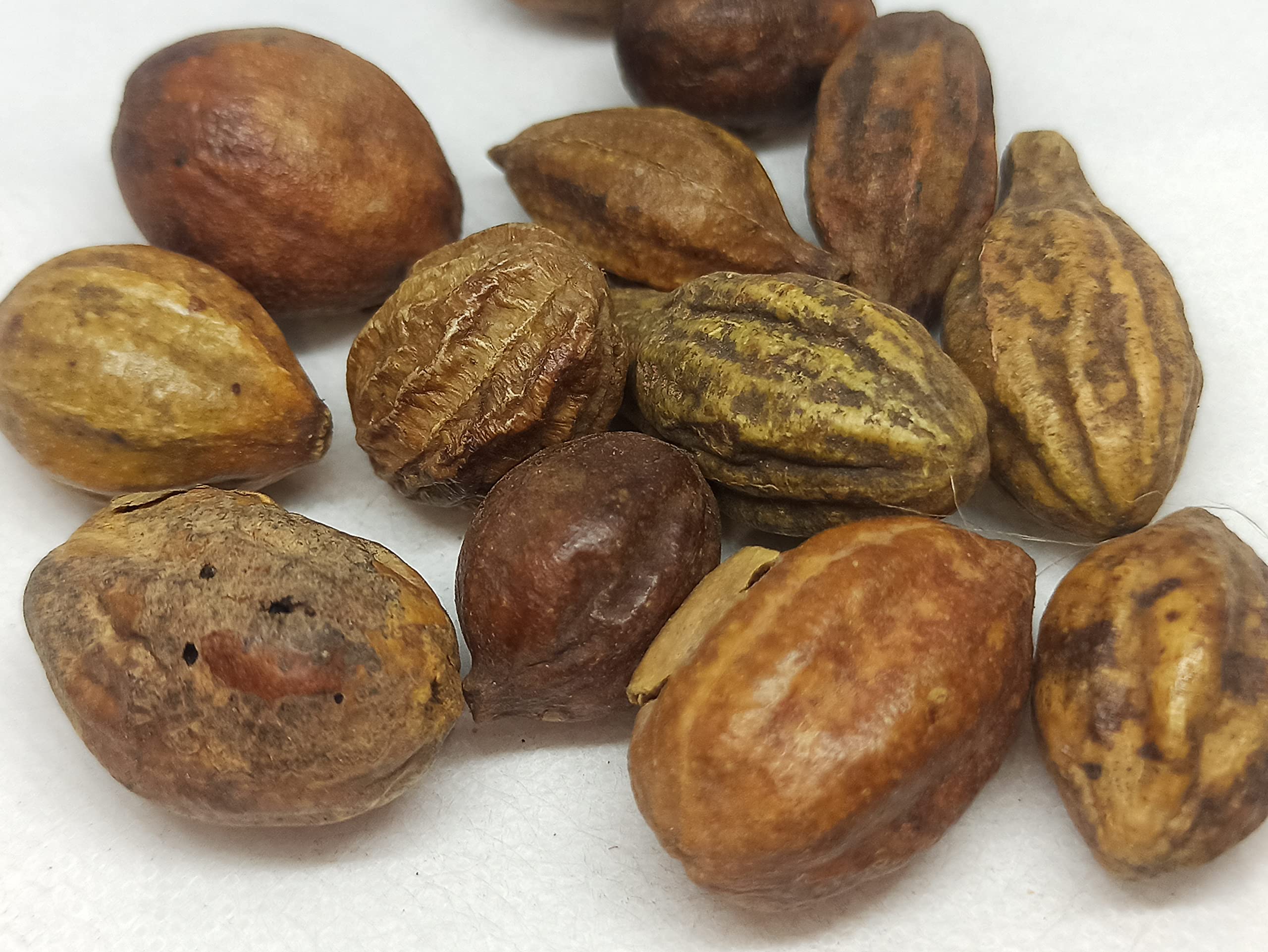 NATURALIFE'S-*KADUKAI* கடுக்காய் I YELLOW MYROBALAN I Terminalia chebula I Haritaki I Harad I Karakkaya I Indian hog plum-(250 GRAMS)