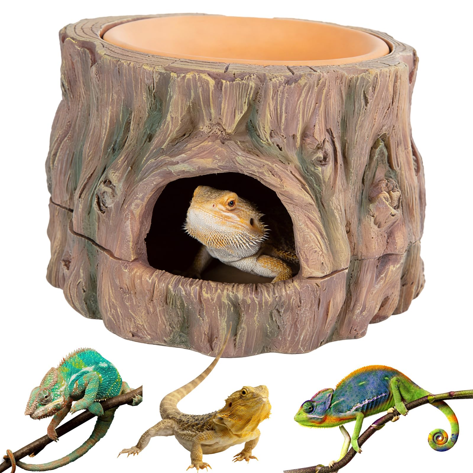 Reptiles 3 en 1 Cueva Ocultar Reptiles Protección: Cueva de reptiles, accesorios de terrario, anfibios escondite con hidratante, para gecko, lagartos, dragón barba, 16,2 × 15,2 × 1,5 cm