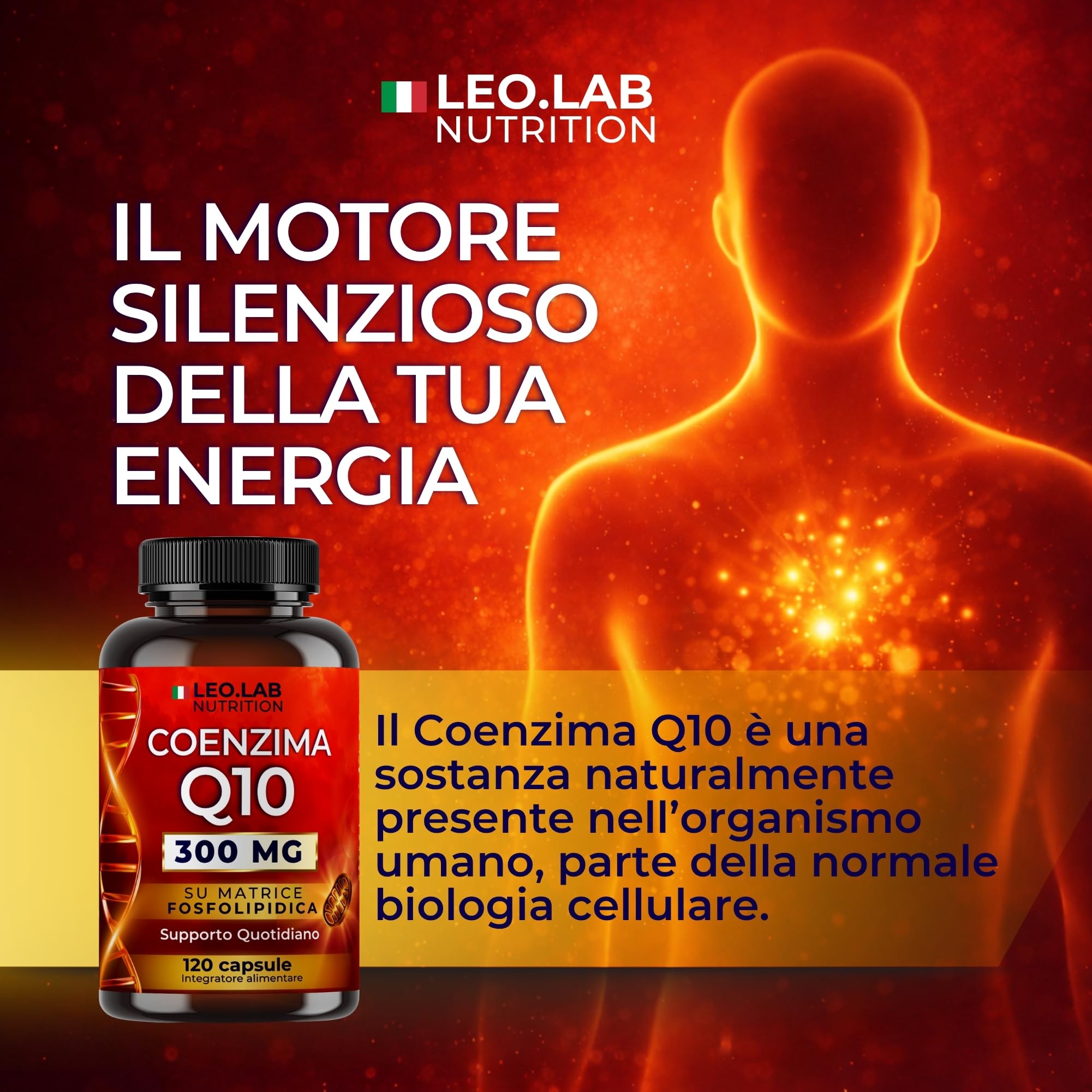 Coenzima Q10 300mg ad Alto Dosaggio 120 Capsule (4 Mesi di Scorta) - Integratore Q10 Made in Italy
