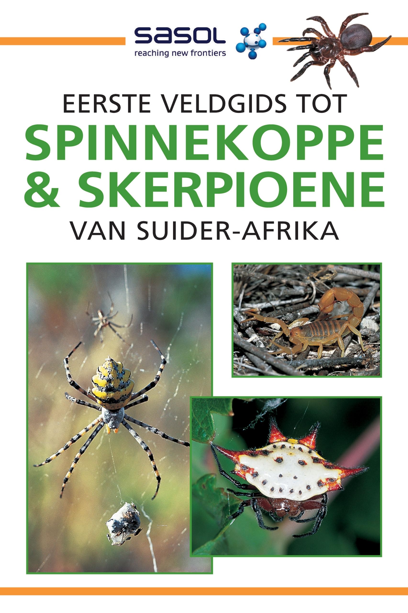 Sasol Eerste Veldgids tot Spinnekoppe en Skerpioene van Suider-Afrika (Afrikaans Edition)