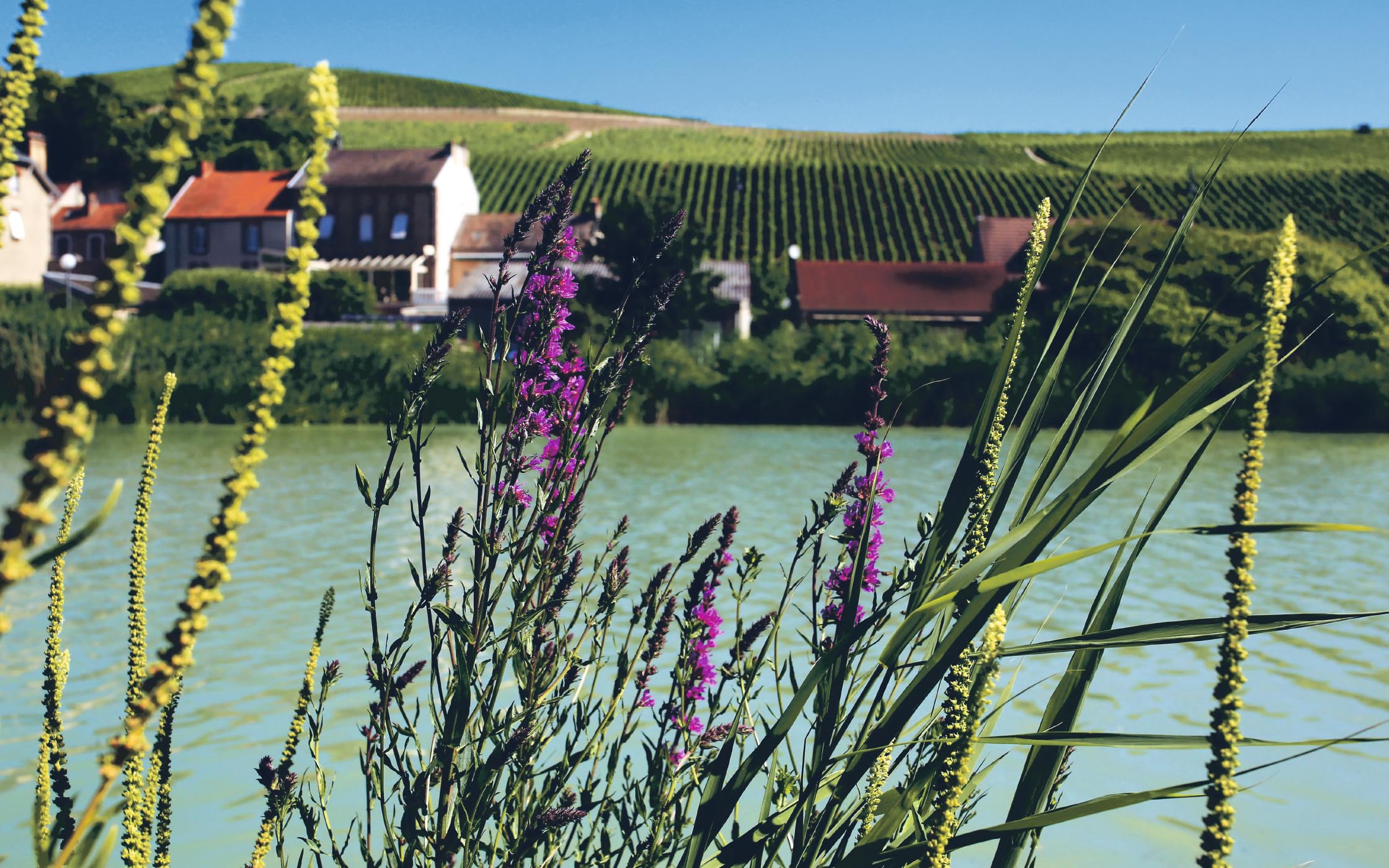 Coffret en 2 volumes Le nouveau vin français: Redéfinir la plus grande culture viticole du monde