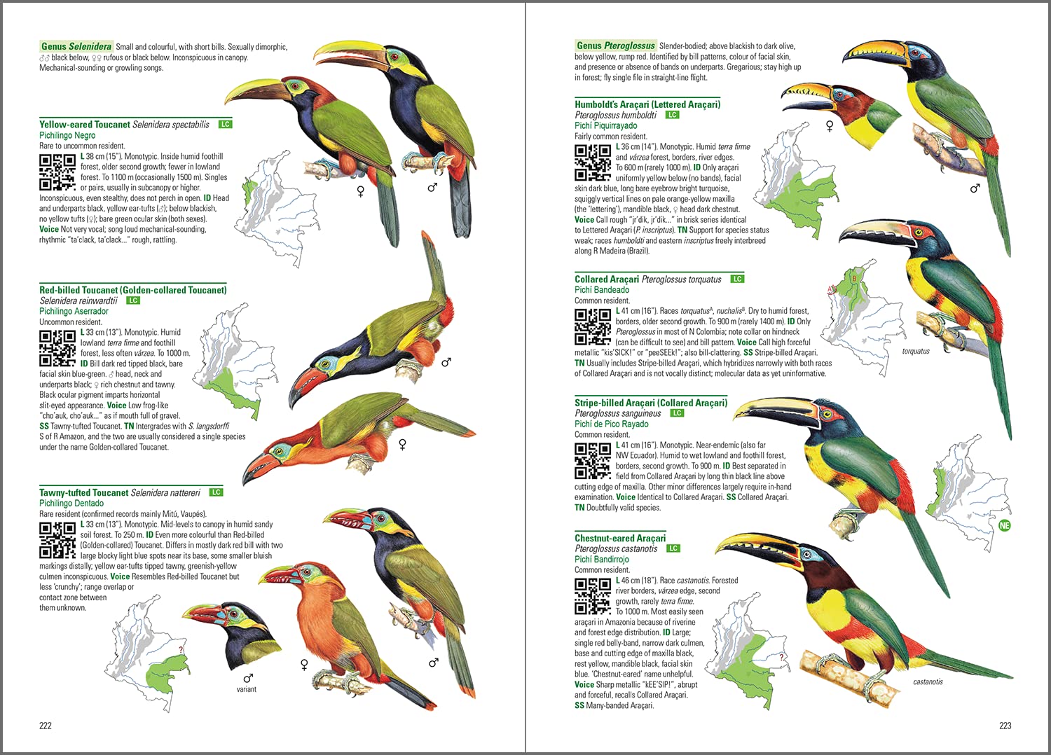 Birds of Colombia