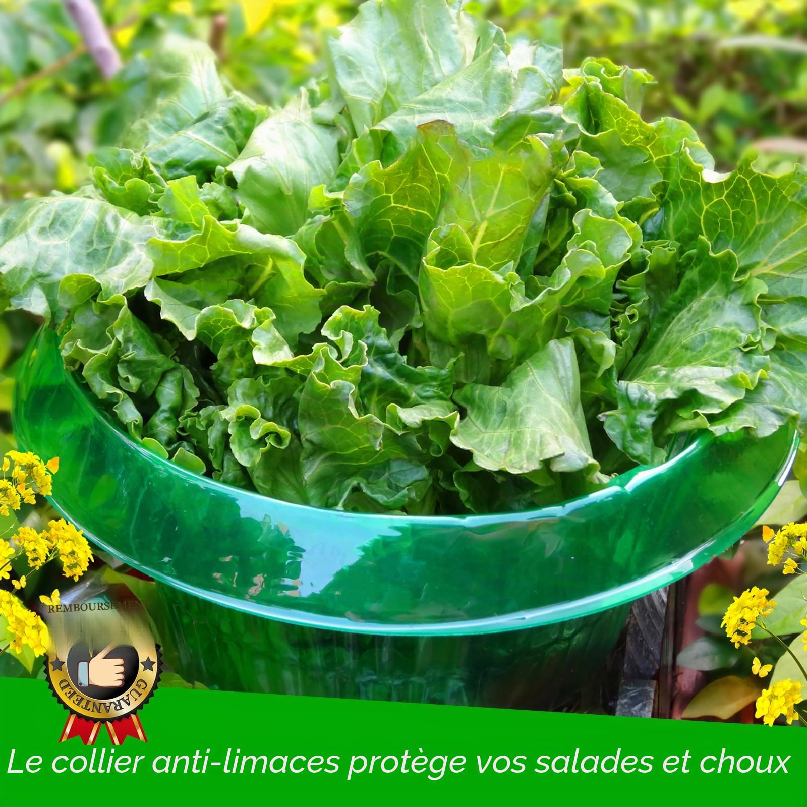 【12 Pièces】Protection Anti-escargots, Protections Anti-limaces, Protection Contre les Escargots, pour vos Plants de Salades et Choux - Protège Les Plantes Contre Les Animaux, Ø 24 cm (12 Pièces)