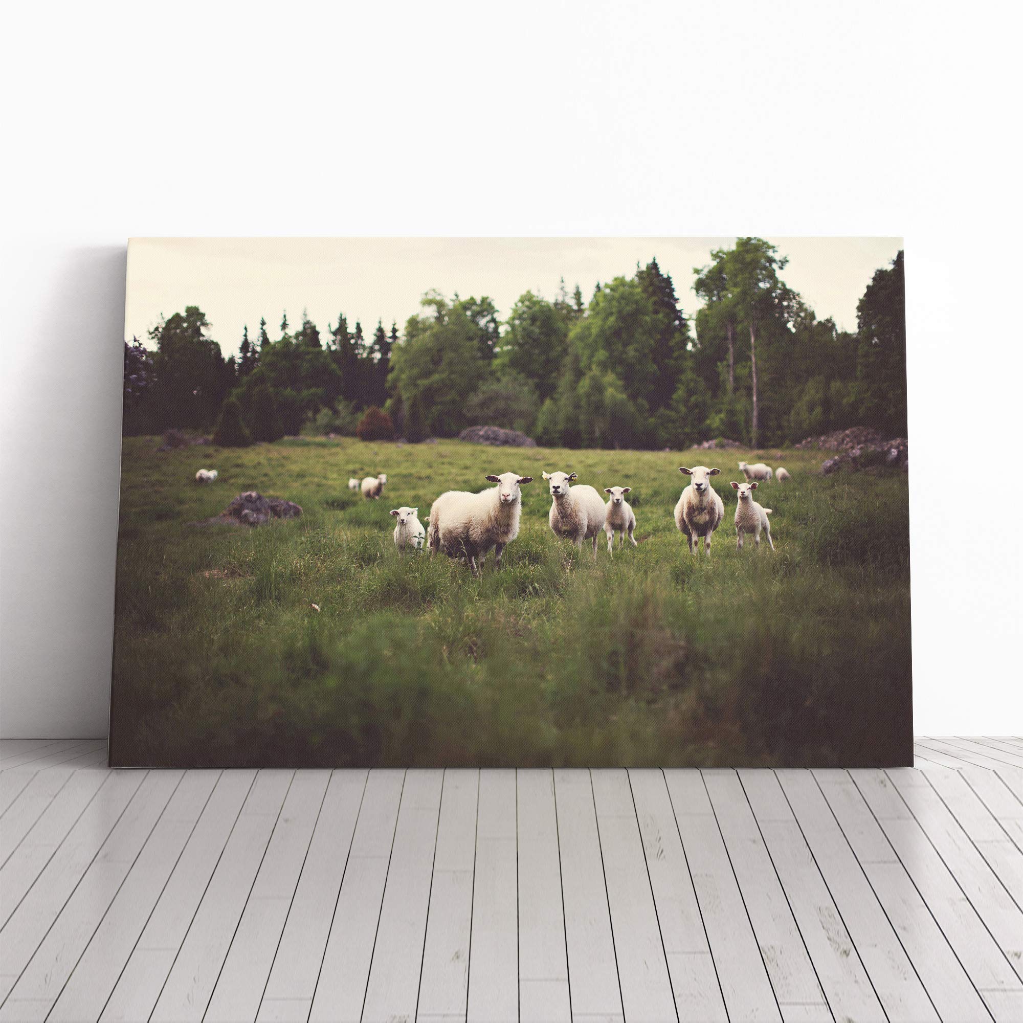 Curious Sheep Landscape Canvas Print | Gallery Wrapped 30mm Frame Wall Art | 30x20 inches | Ready to Hang | Modern Animals Picture | Living Room Bedroom Lounge Office