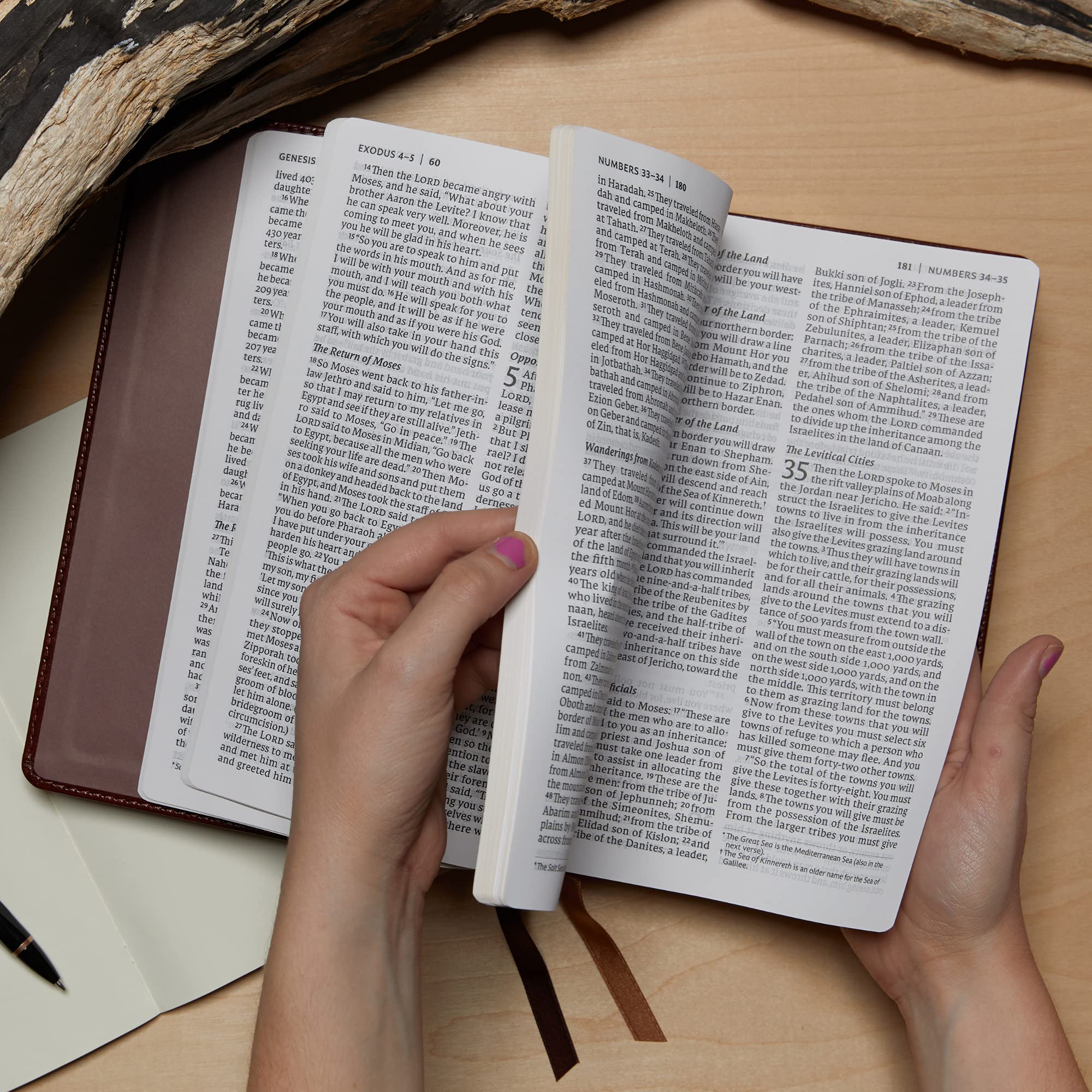 NET Bible, Thinline Art Edition, Large Print, Leathersoft, Blue, Comfort Print: Holy Bible - Image 6