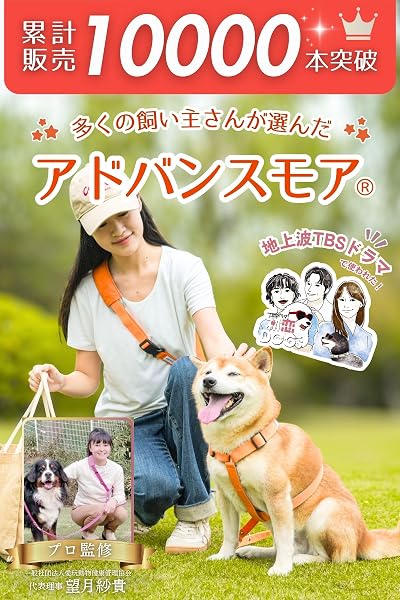 [LaLUCA GOODS] 犬 ショルダーリード 小型犬 中型犬 大型犬 アドバンスモア 01モデル ハンズフリー ブラック ダブルナスカンパーツ Sサイズ - 2
