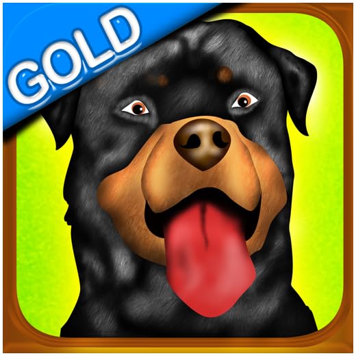 Dog Agility Obstacle Dressage Race Contest Gold