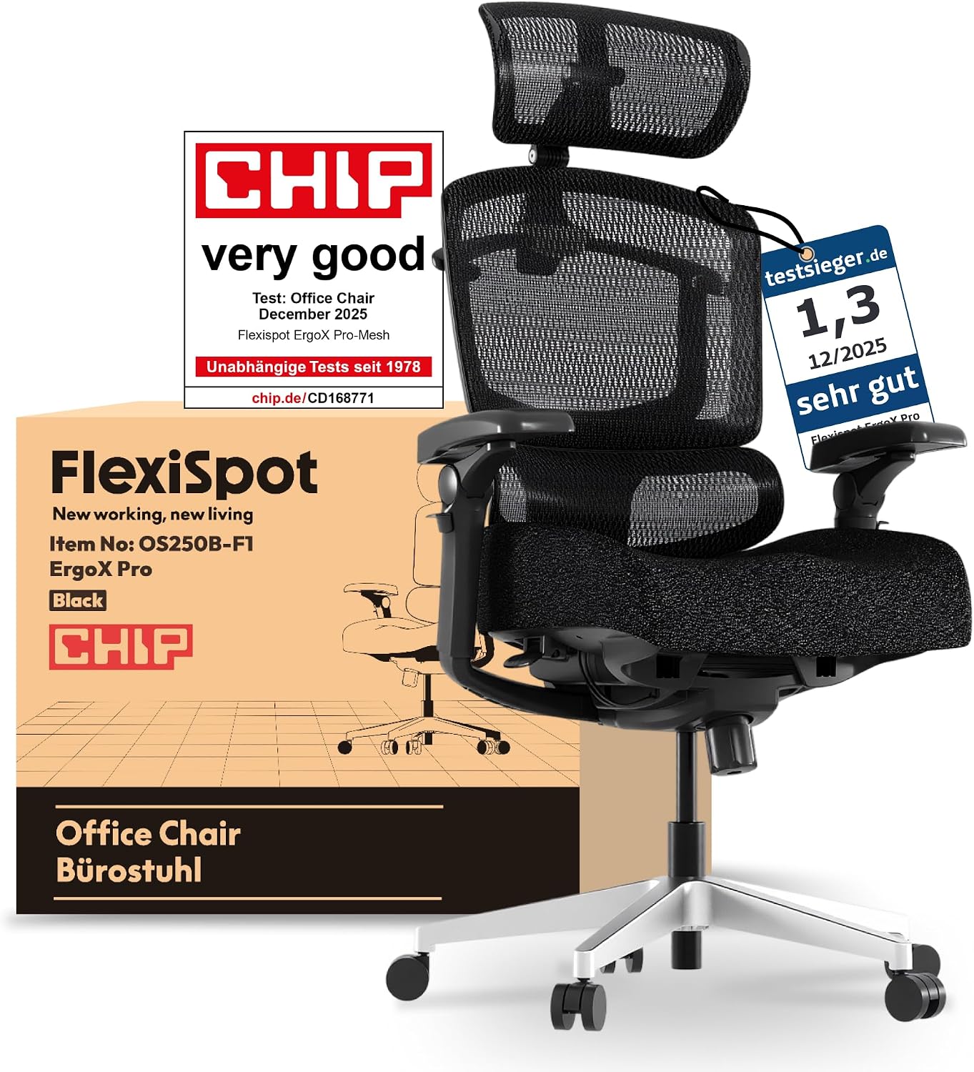 Flexispot ErgoX Pro