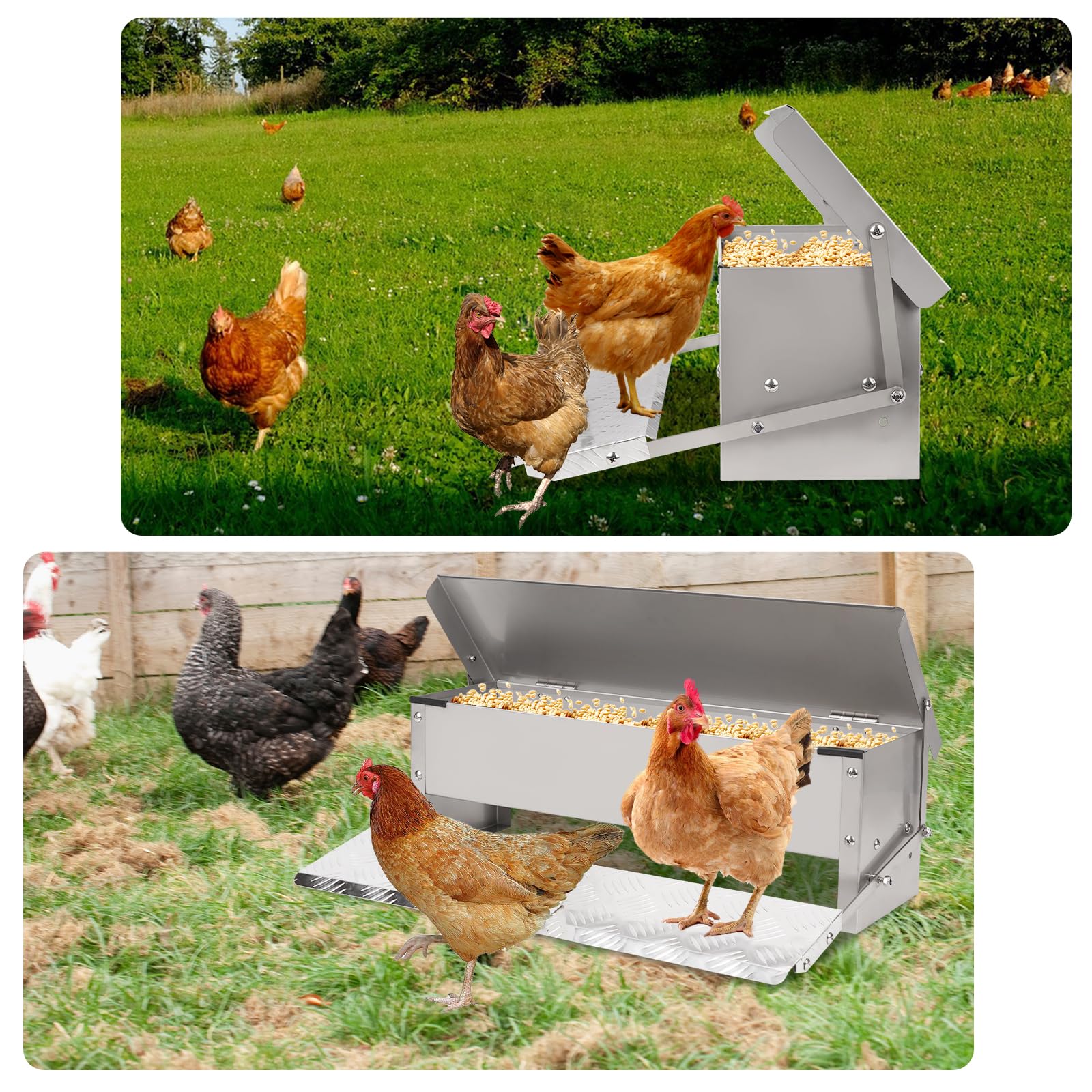 Mangiatoia per Polli a Pedale, Mangiatoia Automatica per Polli da 5 Kg Senza Rifiuti per Pollame con Coperchio Resistente Alle Intemperie e Pala per Galline, Anatre e Polli