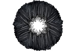 FeelfunFeather Black Goose Feathers: DIY Goth Decor in Bulk