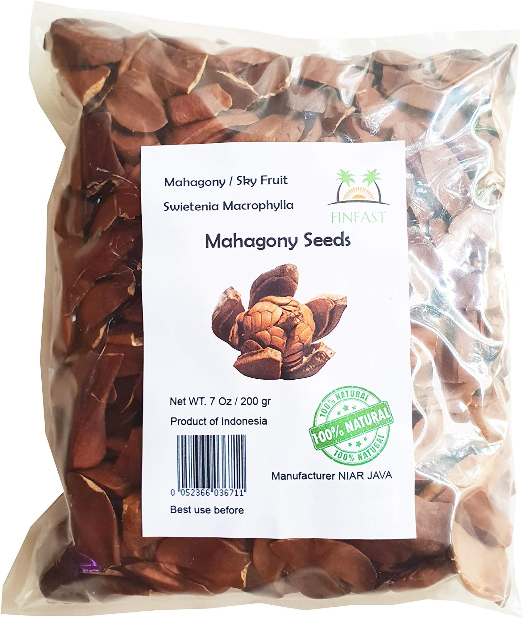 FINFAST 200 Grams Mahagony Seeds (Swietenia Macrophylla)