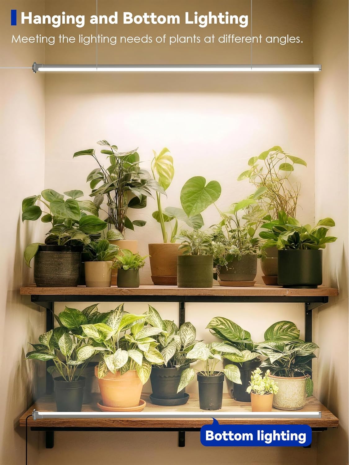 Standing Grow Light with Auto-Timer, 36W Vertical Grow Lights for Indoor Plants,3 Light Modes,268 LEDs Detachable Full Spectrum Plant Lights for Wide Area Coverage in Indoor Plants (60IN-Silver)