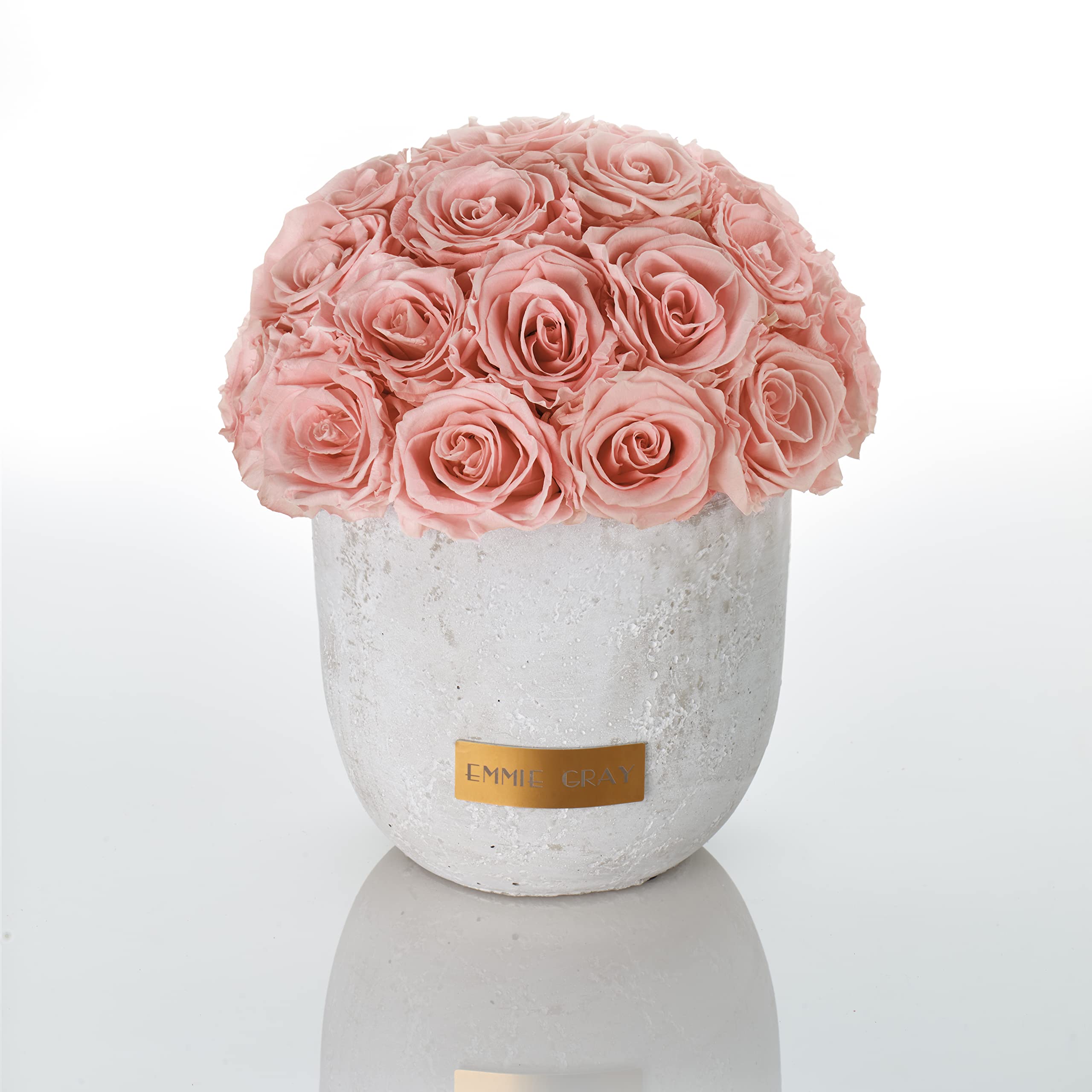 Solid Infinity Collection - Gorgeous Infinity Roses, 1-3 Year Durable Roses, Concrete Vase with Real Preserved Roses, Elegant Premium Roses - Size M (Antique Pink)