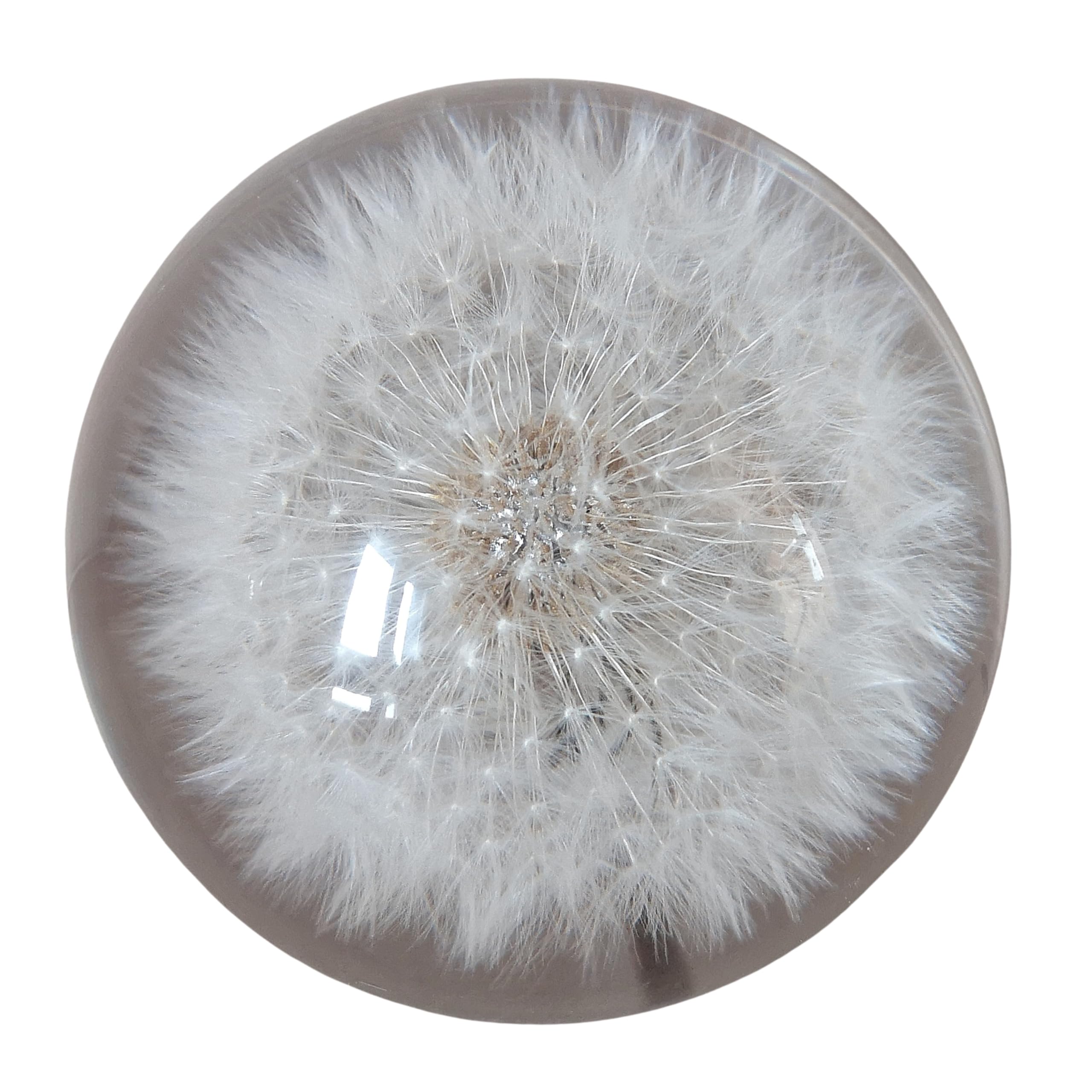 Generisch 7 cm Deko Figur Glas Pusteblume Löwenzahn Briefbeschwerer Handarbeit Glaskugel
