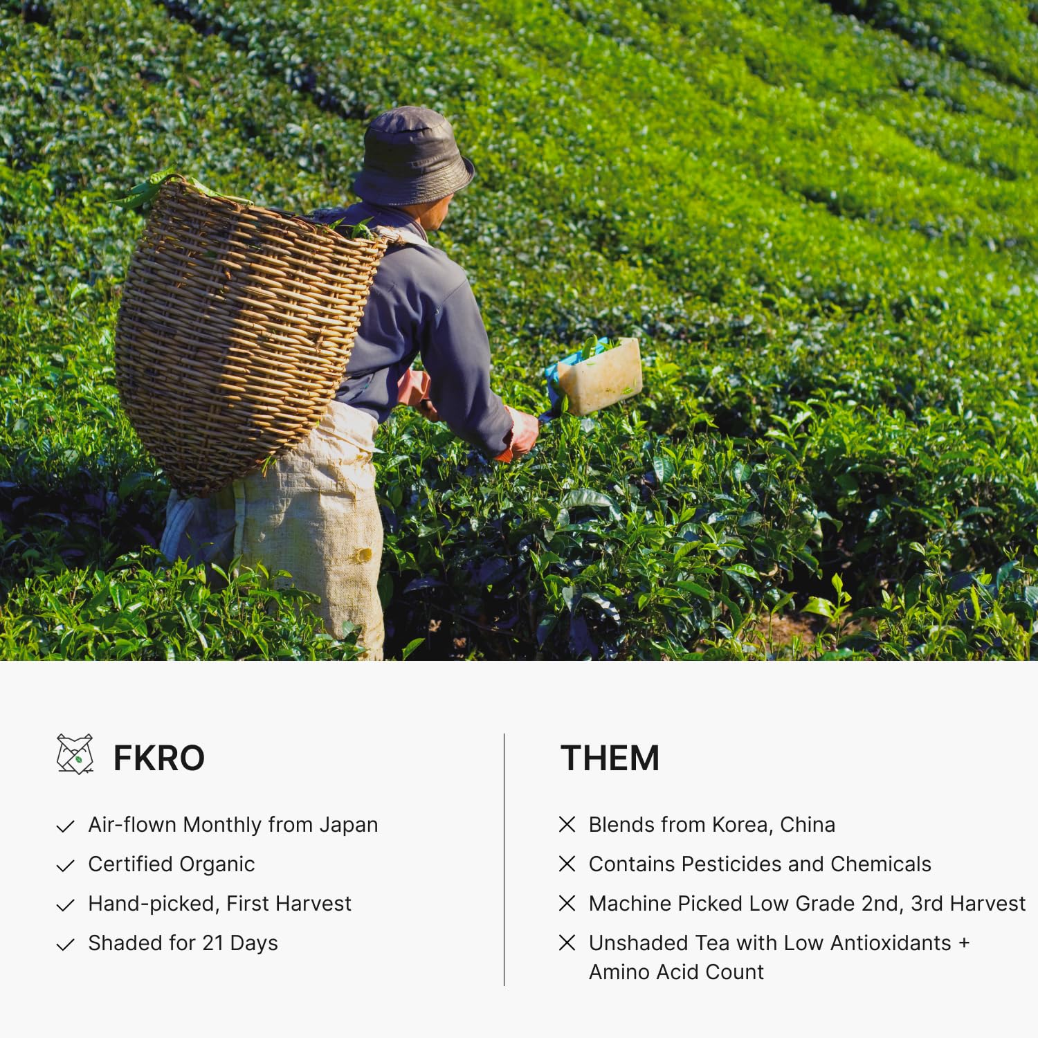 FKRO Organic Ceremonial Grade Matcha Green Tea Powder 1st Harvest Single Origin Single Saemidori Cultivar Flown in Fresh — view 7