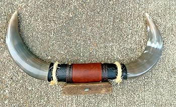 Mounted Horne ロングホーン　壁掛け　角　ウエスタン　カウボーイ＊8 Amazon.com: 5MOONSUN5 Longhorn Steer Head Wall Mounted