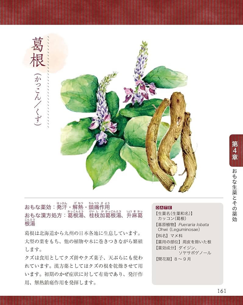 Amazon.co.jp: 図とイラストで薬がみつかる わかる！漢方薬 : 能