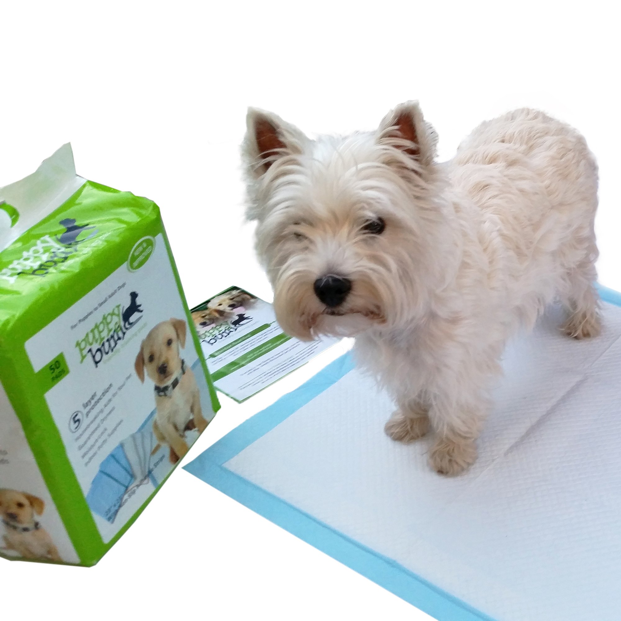 Buy Puppy Bum Friendly Dog Training Pee Pads With NonSlip Adhesive