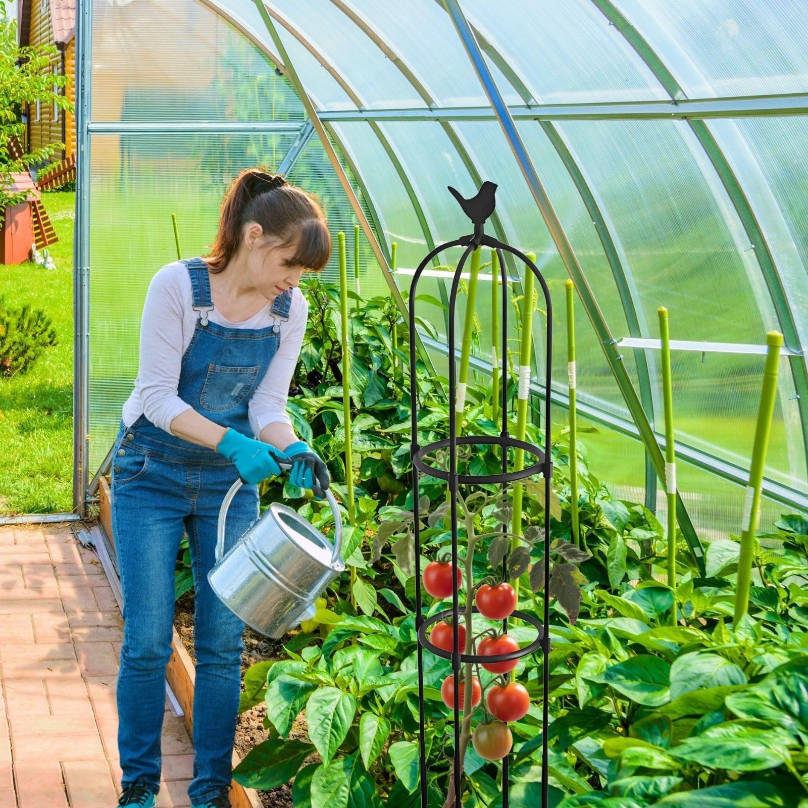 Genérico Enrejado de Pepino Soporte de Enrejado de Plantas para Verduras, 125 175 205cm Soporte de Plantas Jardinería de Jaula para Flores en Maceta, Vides Trepadoras(White,40 x 165cm/15.7 x 65in)