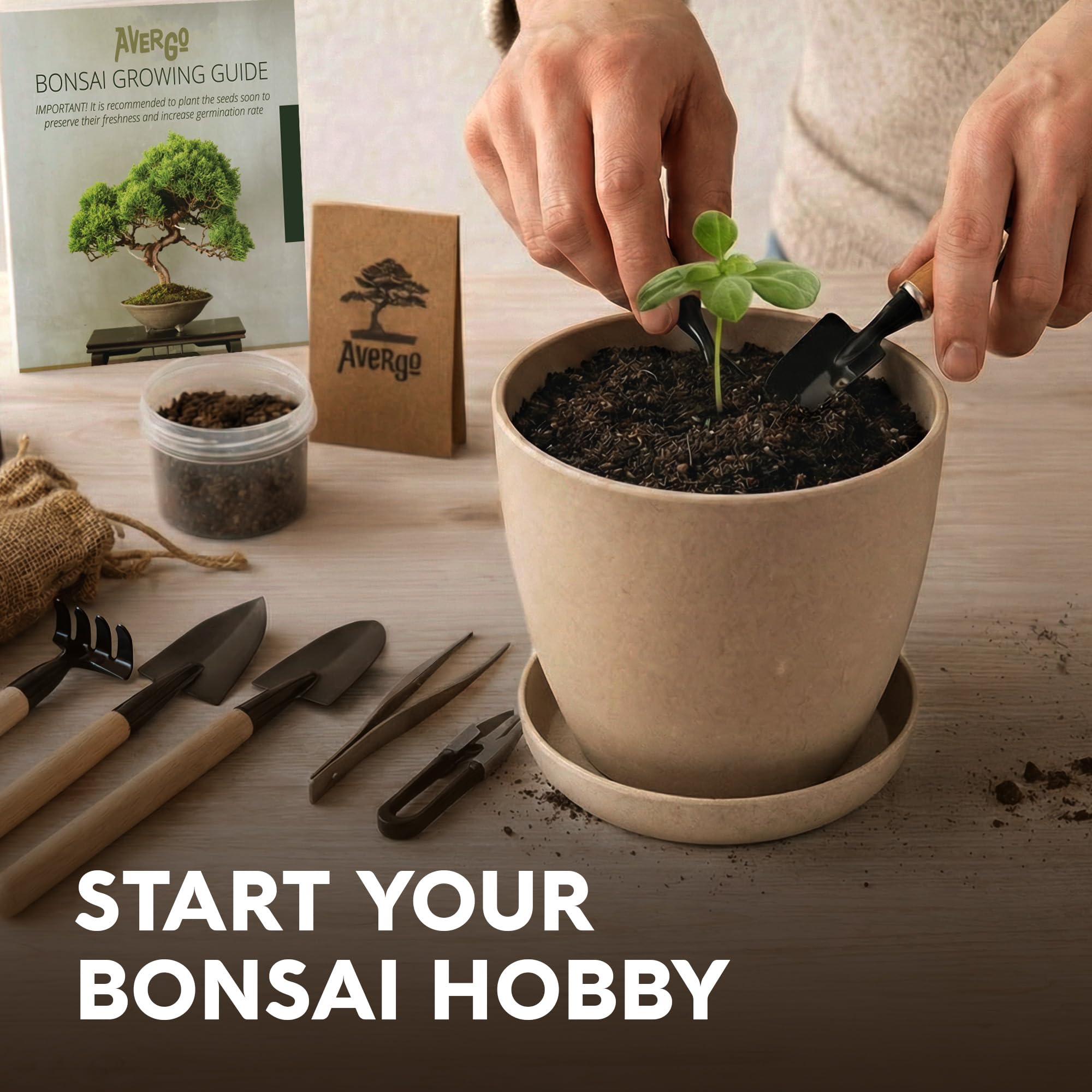 Bonsai - Kit de démarrage - Jacaranda bonzai à partir de graines | Kit complet d'arbre d'intérieur pour cultiver des plantes avec outils et pots de fleurs, cadeaux de jardinage pour