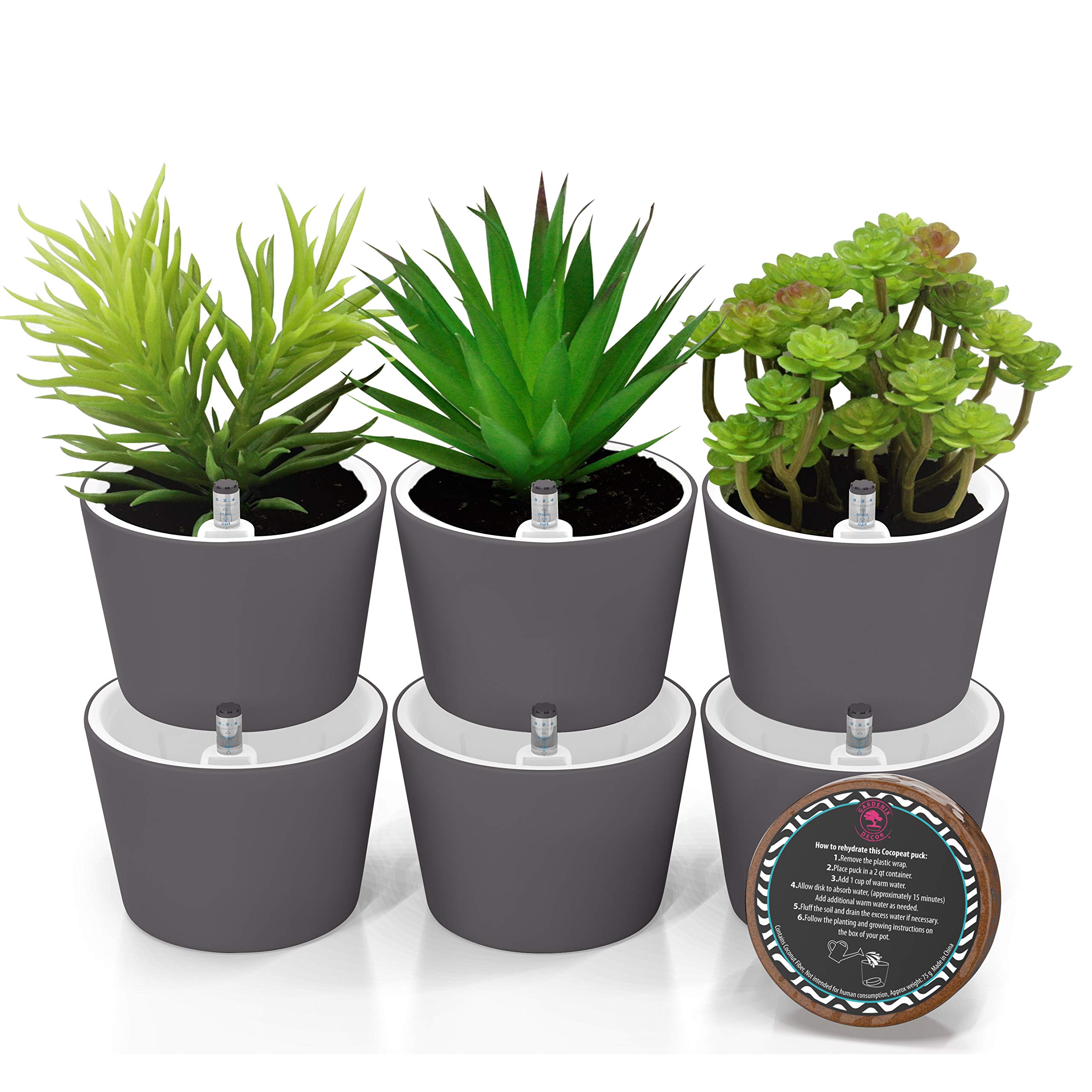 Buy 3.5" pots selfWatering Round Succulent pots Easy Succulent ers