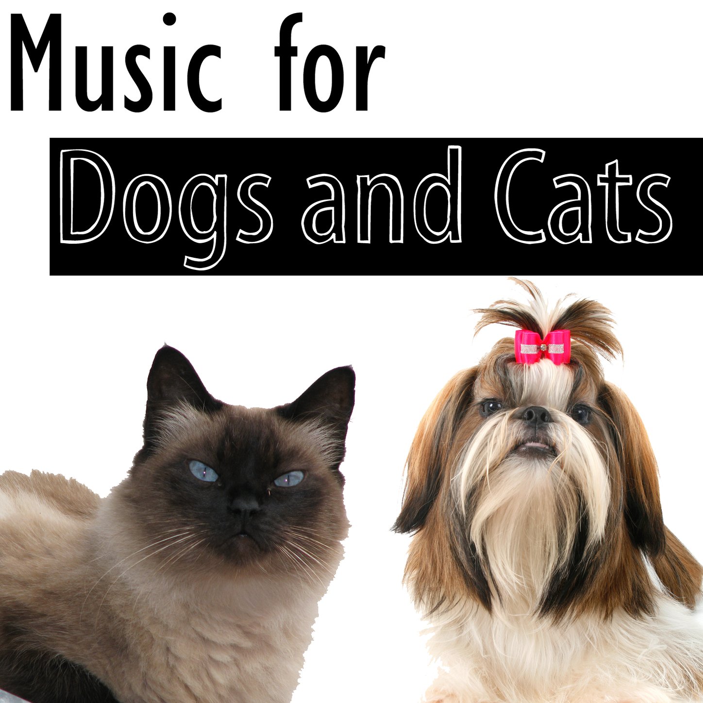 Pet Music Masters