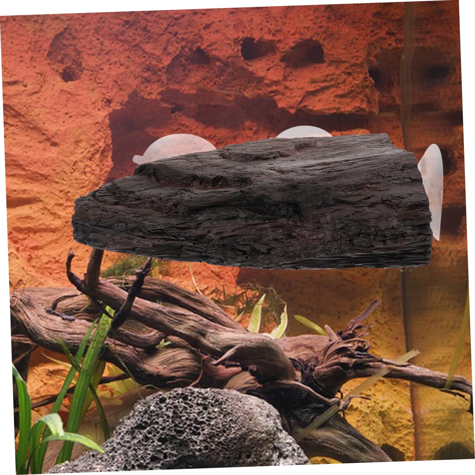 Toddmomy Per Tartarughe Accessorio per Habitat per Rettili Galleggiante e Luogo Basking per Tartarughe e Rettili