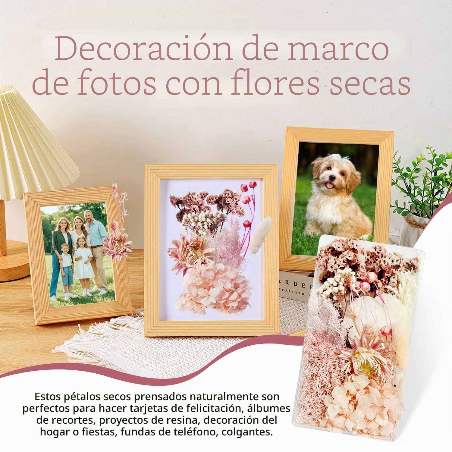 Flores Secas Manualidades Flores Preservadas Naturales Flores Secas Decorativas Flores Prensadas Secas Naturales para Marco de Foto DIY Decoración Artesanal (Rosa)