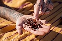 Vista 7 de Holy Cacao Masticables de fruta de cacao deshidratado, original, bolsas de 2 onzas (paquete de 2) Bocadillo de superfrutas reciclado, un solo