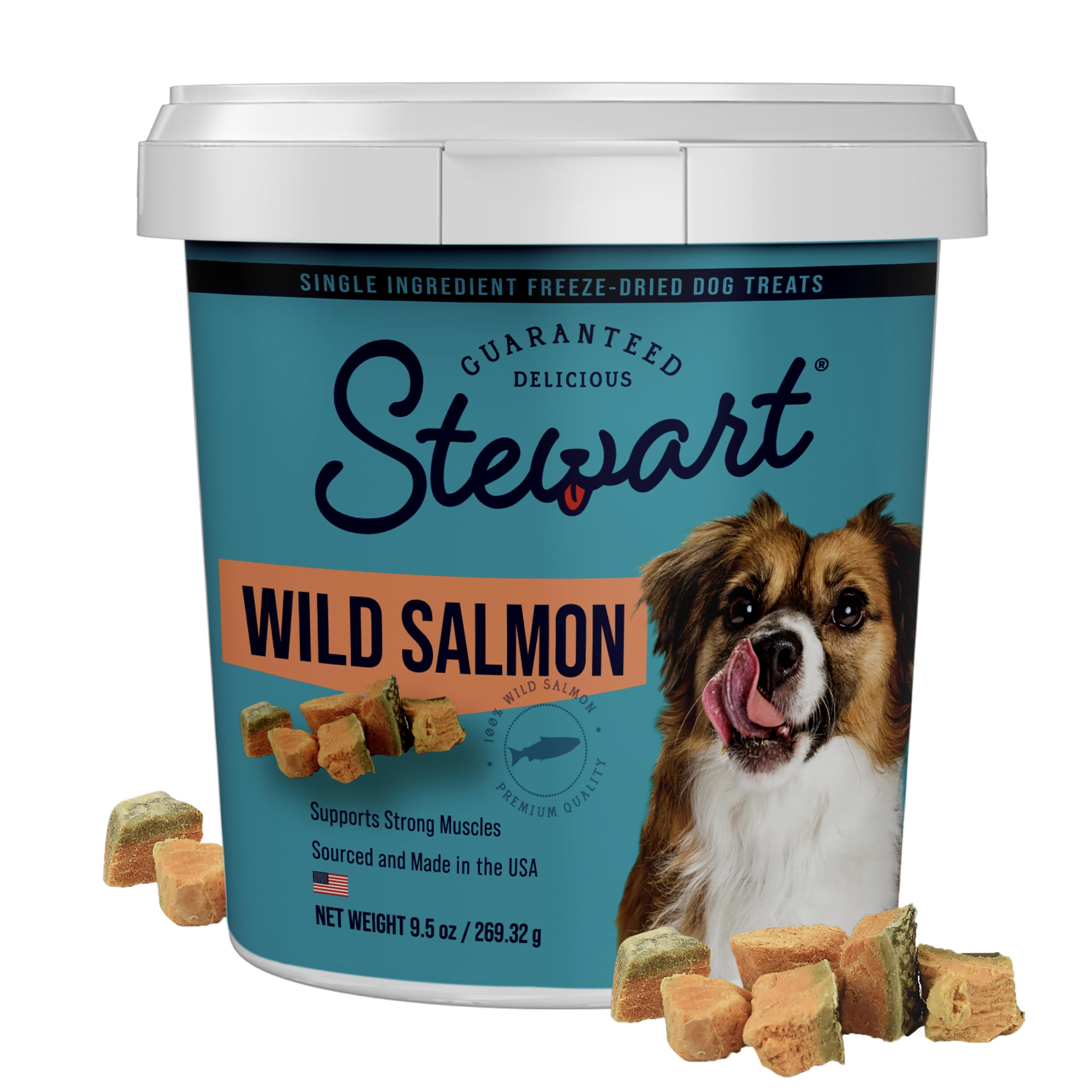 Stewart Freeze Dried Dog Treats, Wild Salmon, Grain Free & Gluten Free, 9.5 Ounce Resealable Tub, Single Ingredient, Made in USA, Dog Training Treats