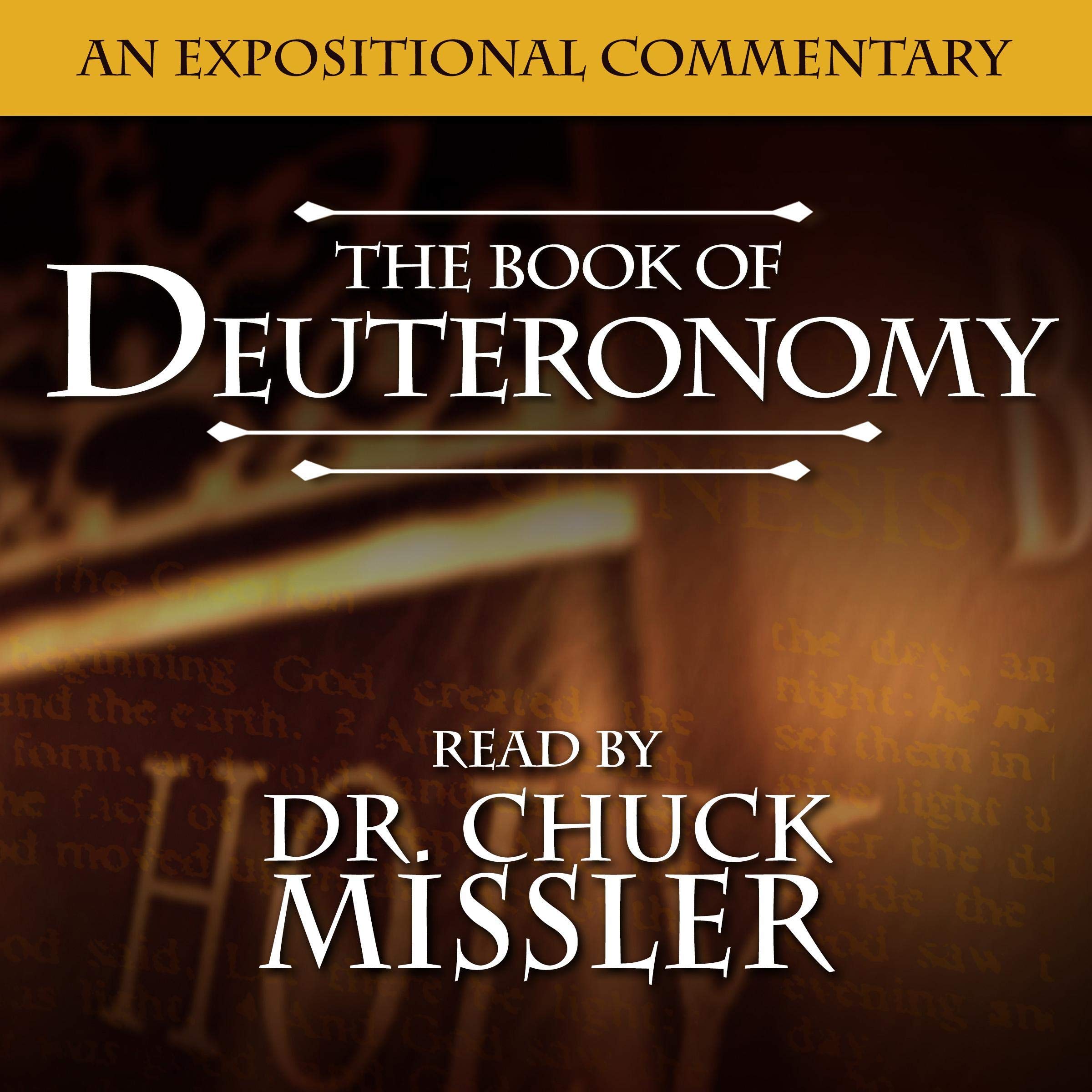 Cover art for The Book of Deuteronomy: A Commentary
