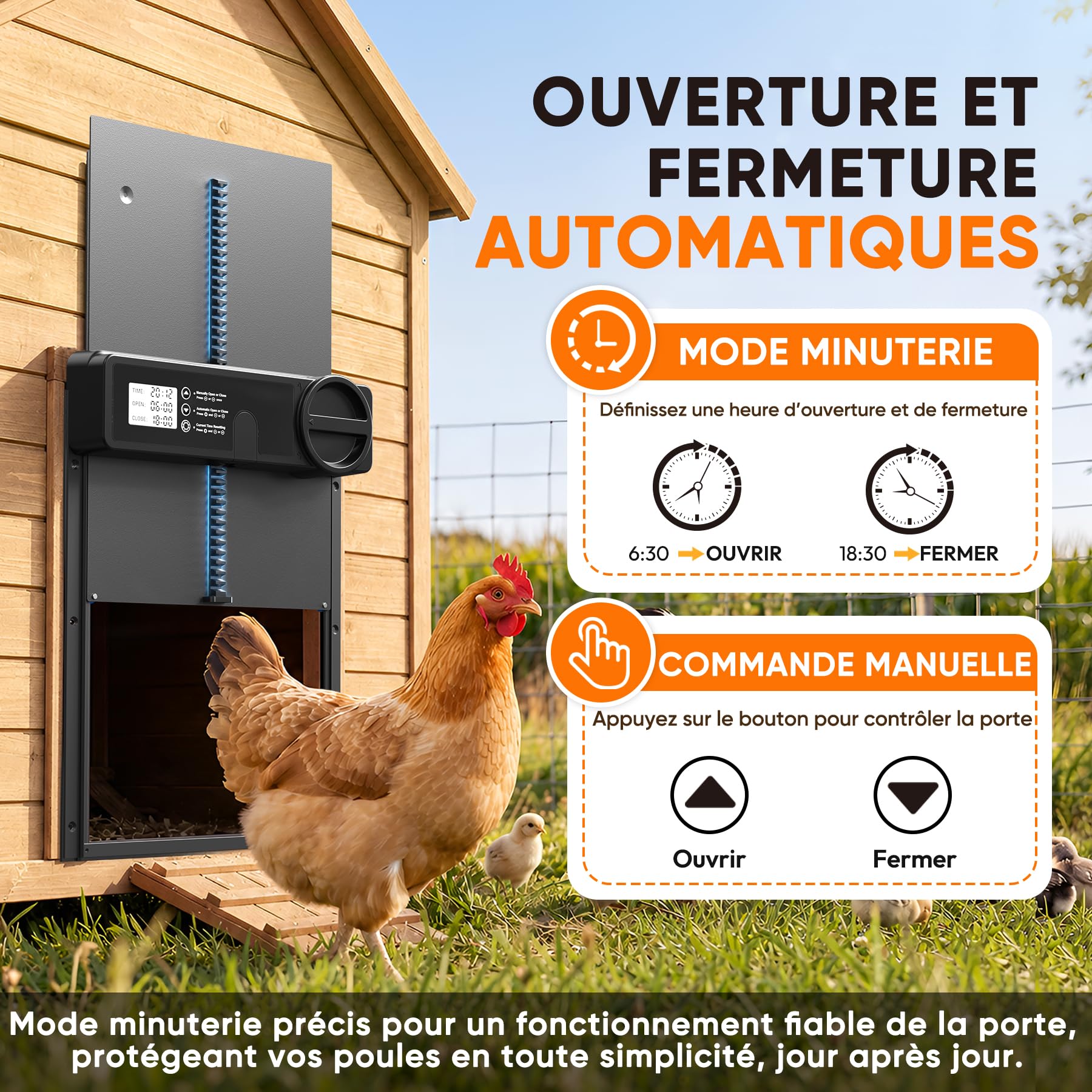 INNOLAND Porte Automatique Poulailler - Grande avec Minuterie du Soir/Matin