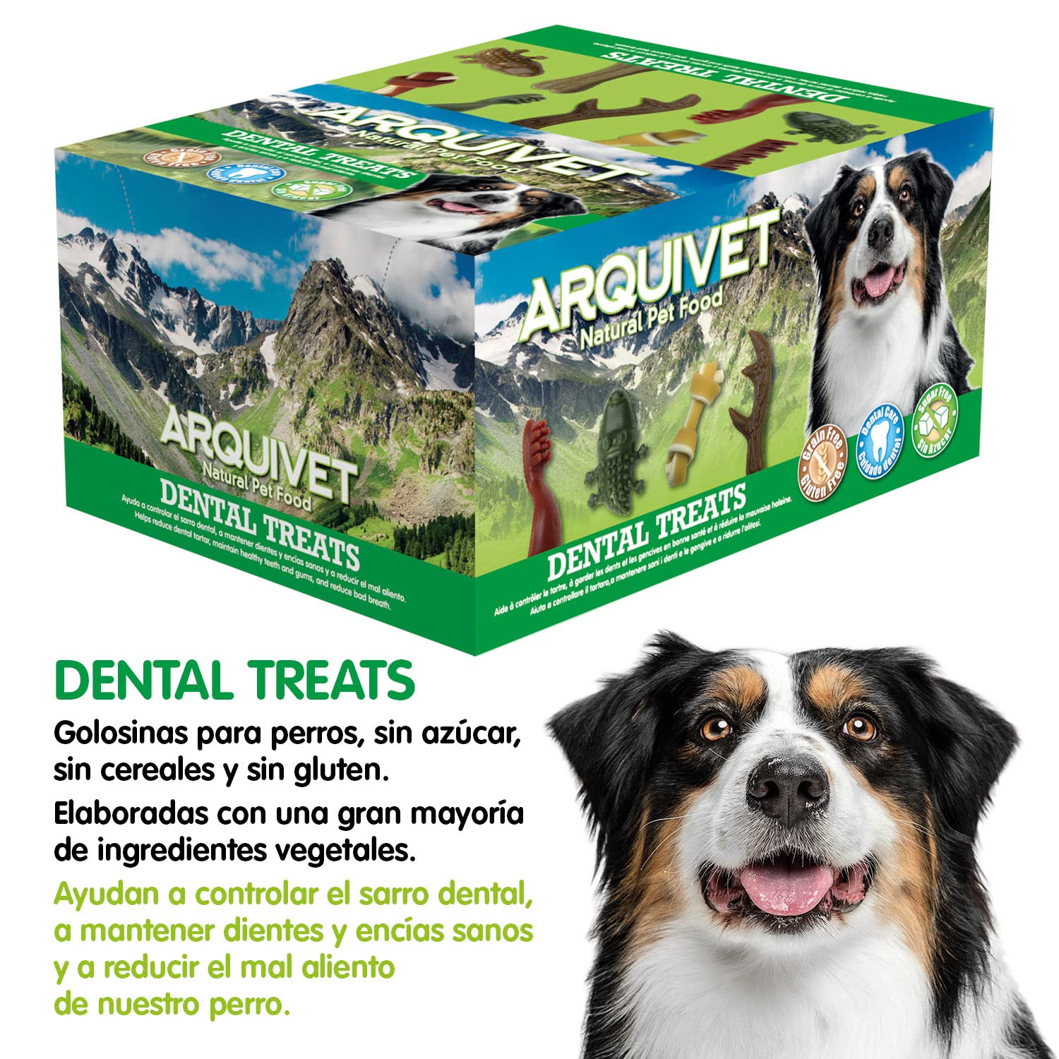 Arquivet Dental Treats - Przekąska dentystyczna dla psów w kształcie szczoteczki 9 cm / 12 g (Expo 200 sztuk) - Bez cukru, bezzbóż, bezglutenowa - Składniki roślinne - Kontrola kamienia nazębnego