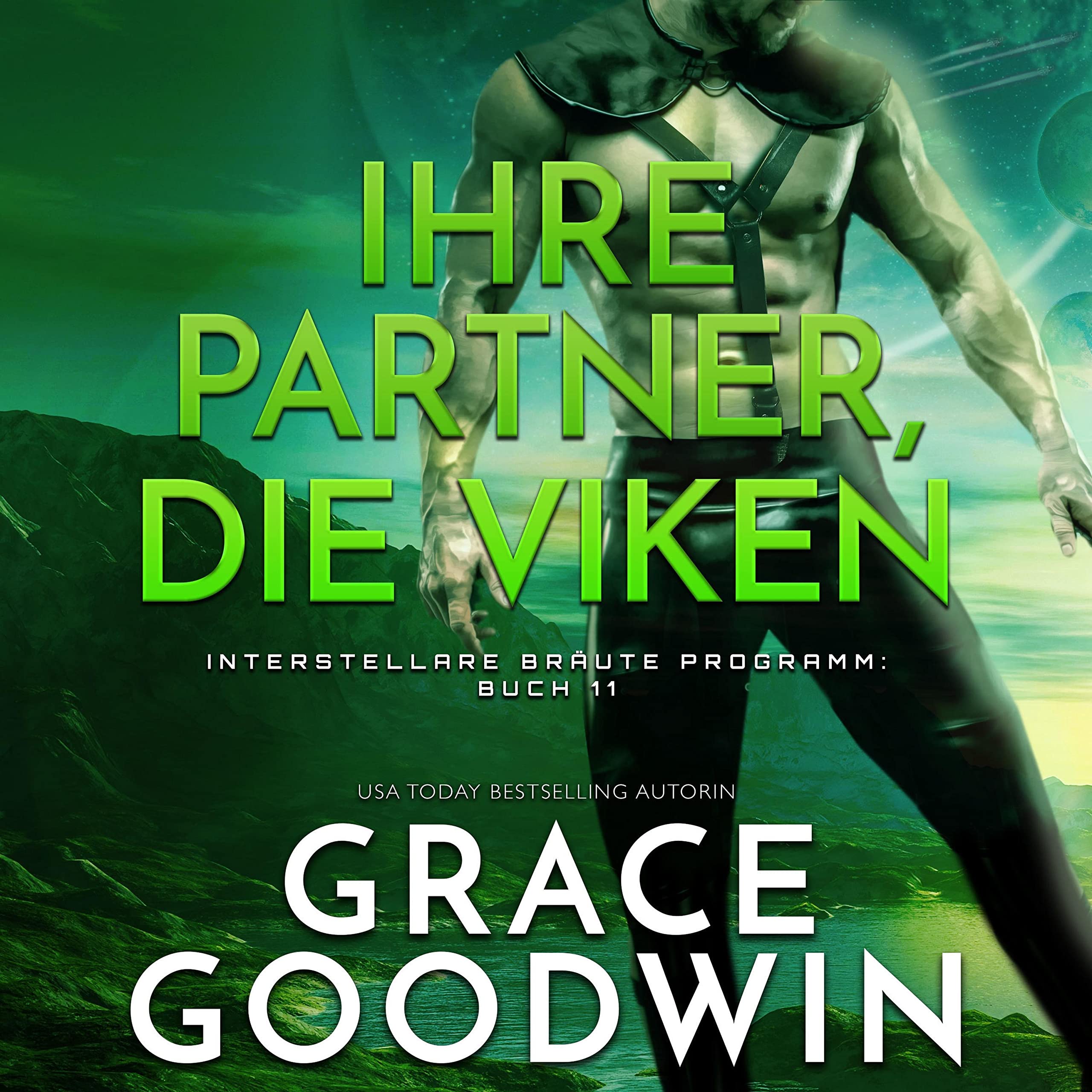 Cover art for Ihre Partner, die Viken [Her Viken Mates]