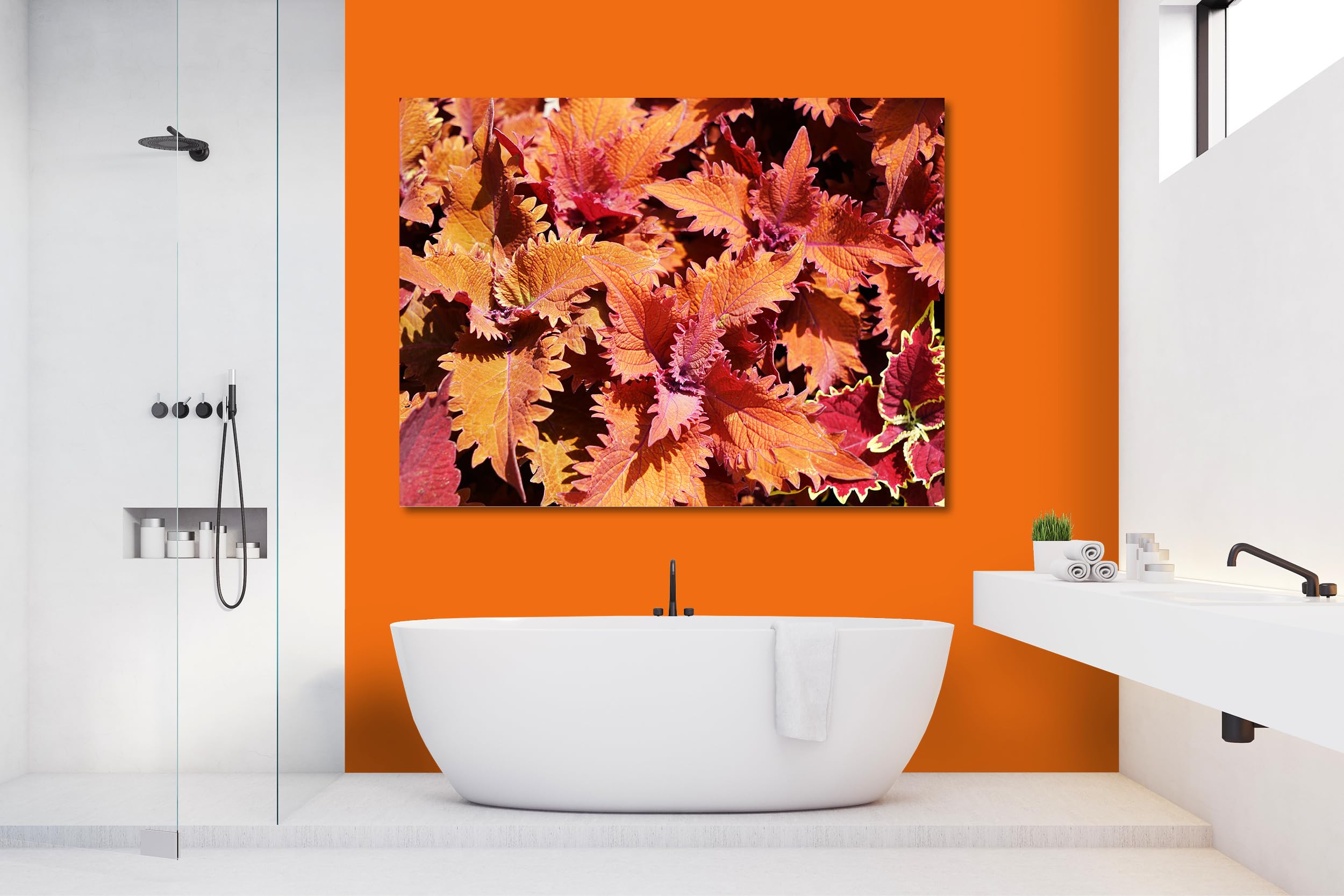Glücksvilla - Foglie colorate (tela 2 cm, 60 x 40 cm) | varie misure - quadro murale orizzontale - giardino albero ramo pianta natura botanica campo prato