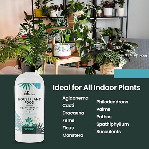 Miniatura 5 de Alimento para plantas de interior, alimento multiusos para plantas de interior, fertilizante para plantas de interior para higueras de hoja de