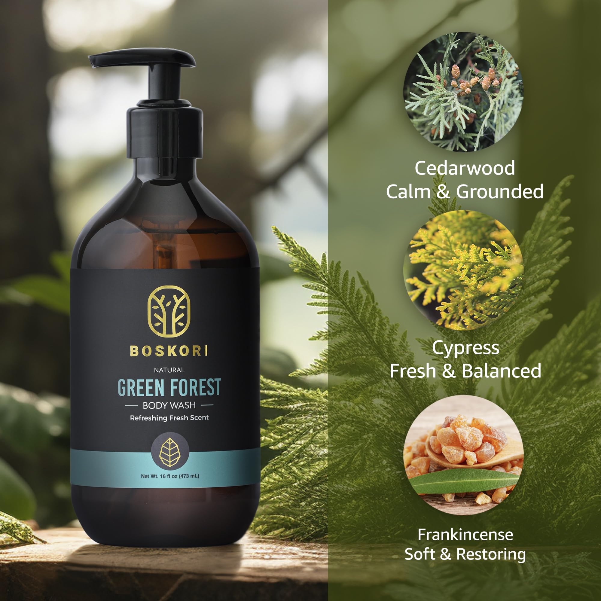 Cedar Essence Body Wash for Men – Gentle Daily Cleanser with Natural Cedarwood & Herbal Extracts, Plant-Derived Hydration, No Harsh Chemicals, Refreshing Wood Aroma – Made in Taiwan, 16 fl oz