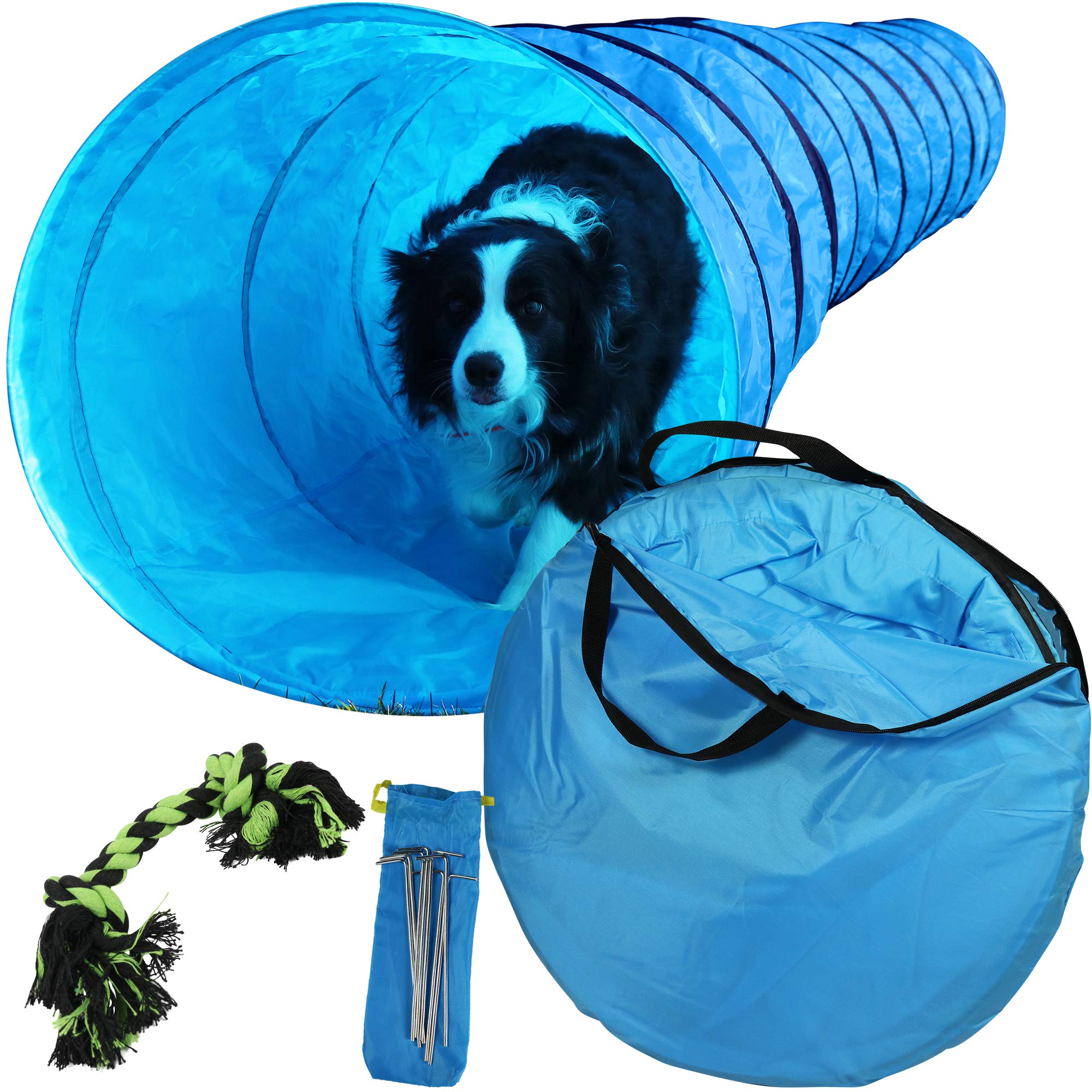 agility training tunnel for dogs