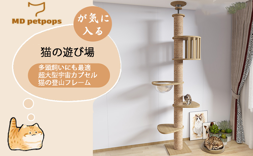 Amazon | Yinanroa タワーキャット,木登りタワー 宇宙船