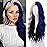 Black Blue Wig - Blue Platinum Blonde Highlight Wigs-Long Synthetic Wig Heat Resistant Fiber Wigs for Daily Party Halloween Cosplay
