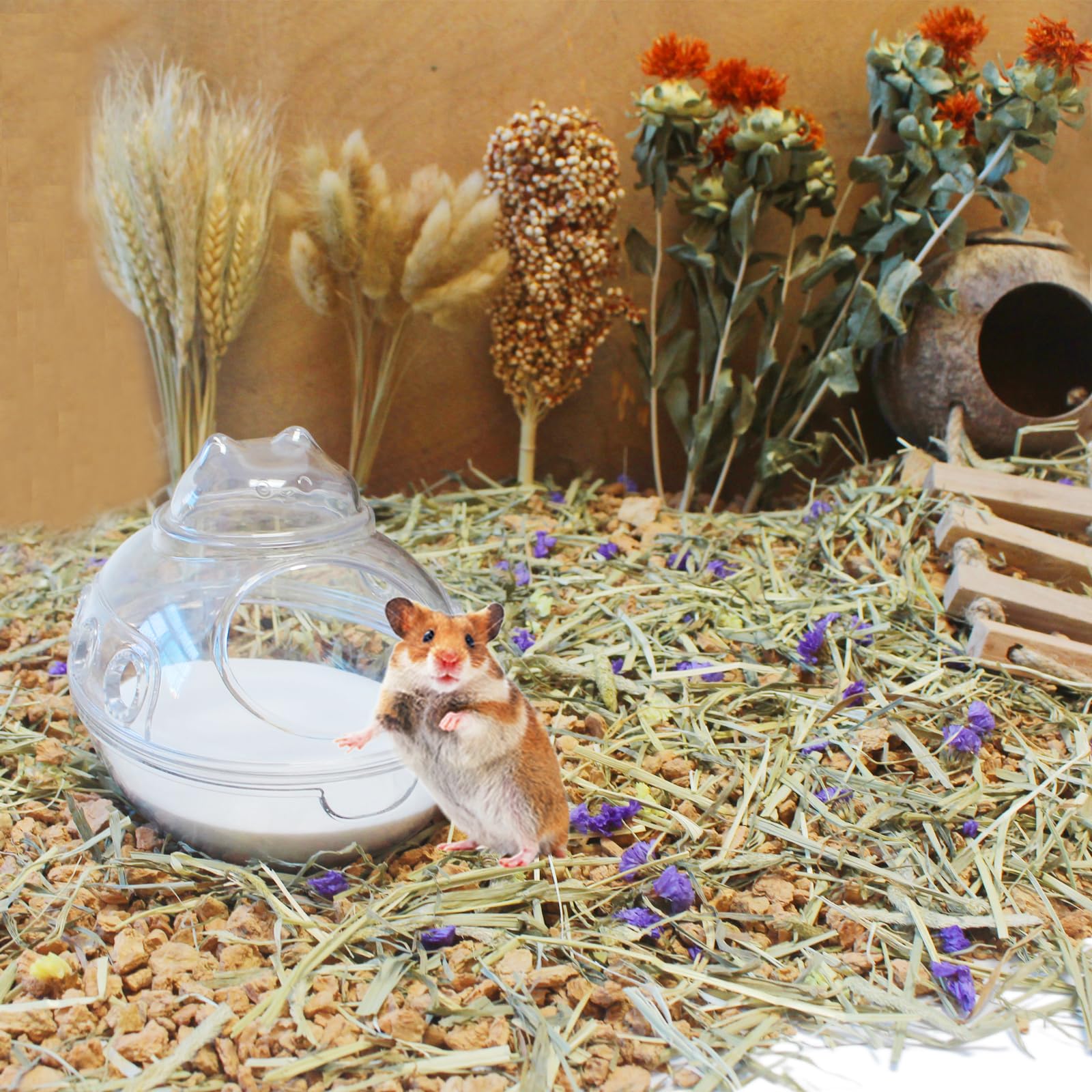 🐹 Arena De Baño Totalmente Degu – Para Degus, Chinchillas, Jerbos Y Hámsters (fabricada En España)
