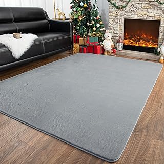 Przemy Washable Grey Rugs for Bedroom Living Room, 4x6 Feet Super Soft M...