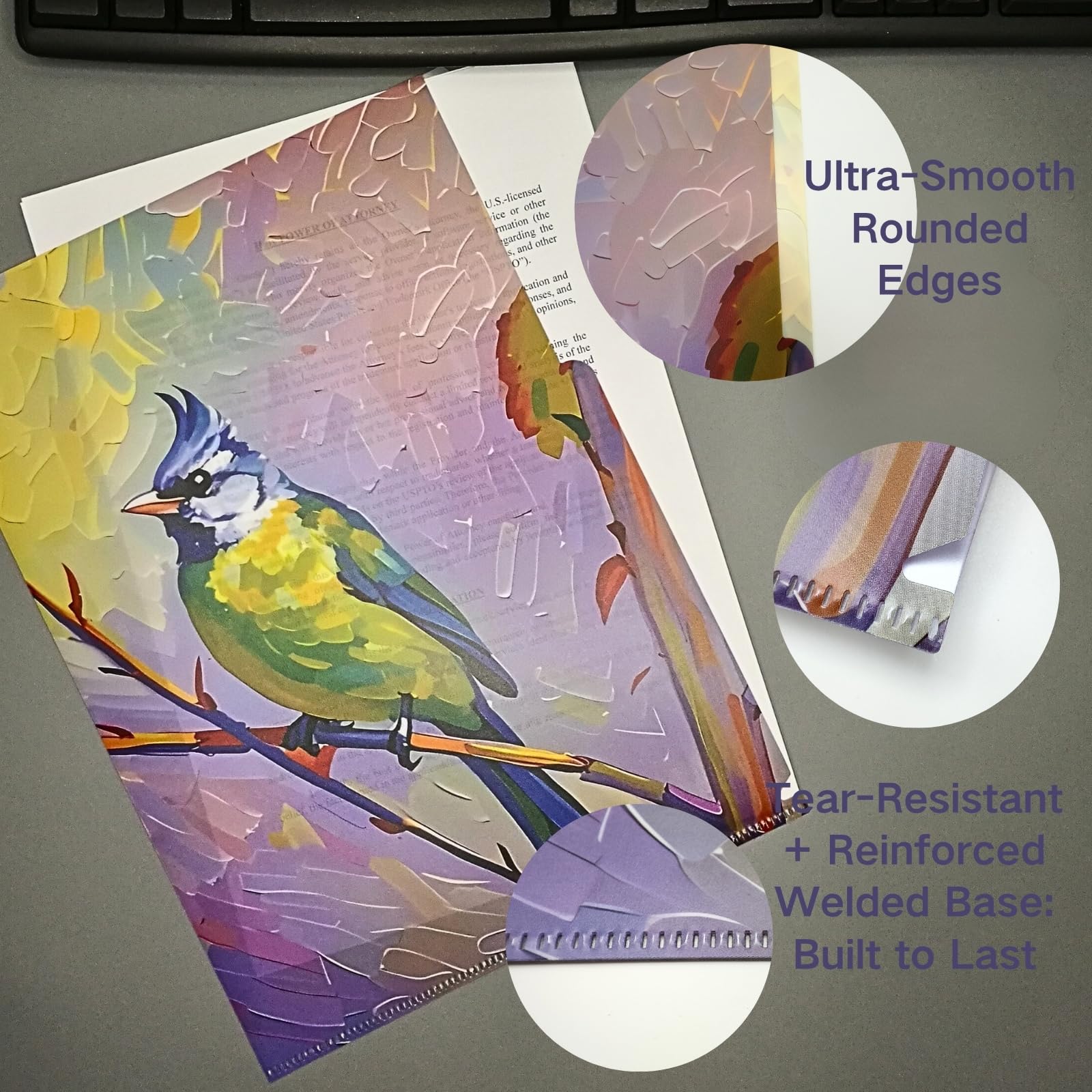 VIVALDI'S Seasons: Avian Impressions - Carpeta de documentos artísticos con 3 bolsillos en forma de L (4 unidades) | Diseño de pintura al óleo de pájaros impermeable | Embalaje artístico personalizado